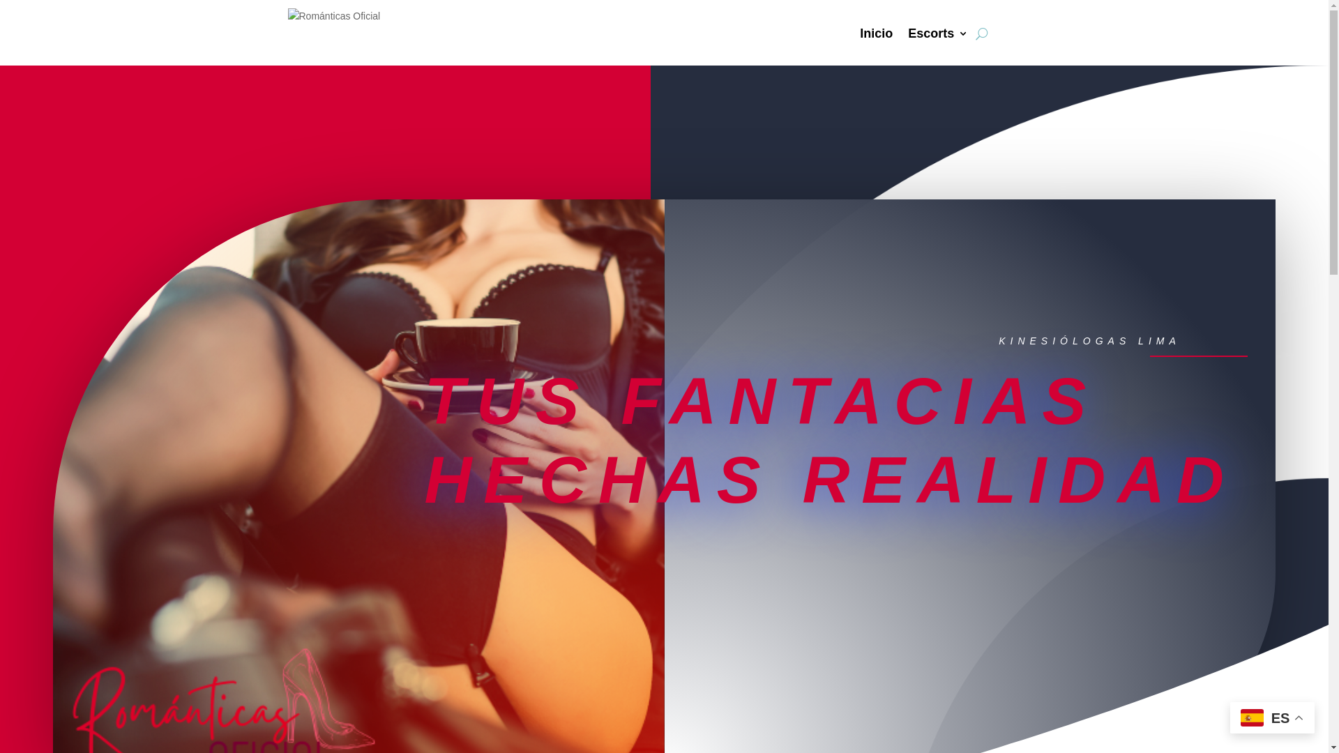 website screenshot of https://romanticasoficial.com/