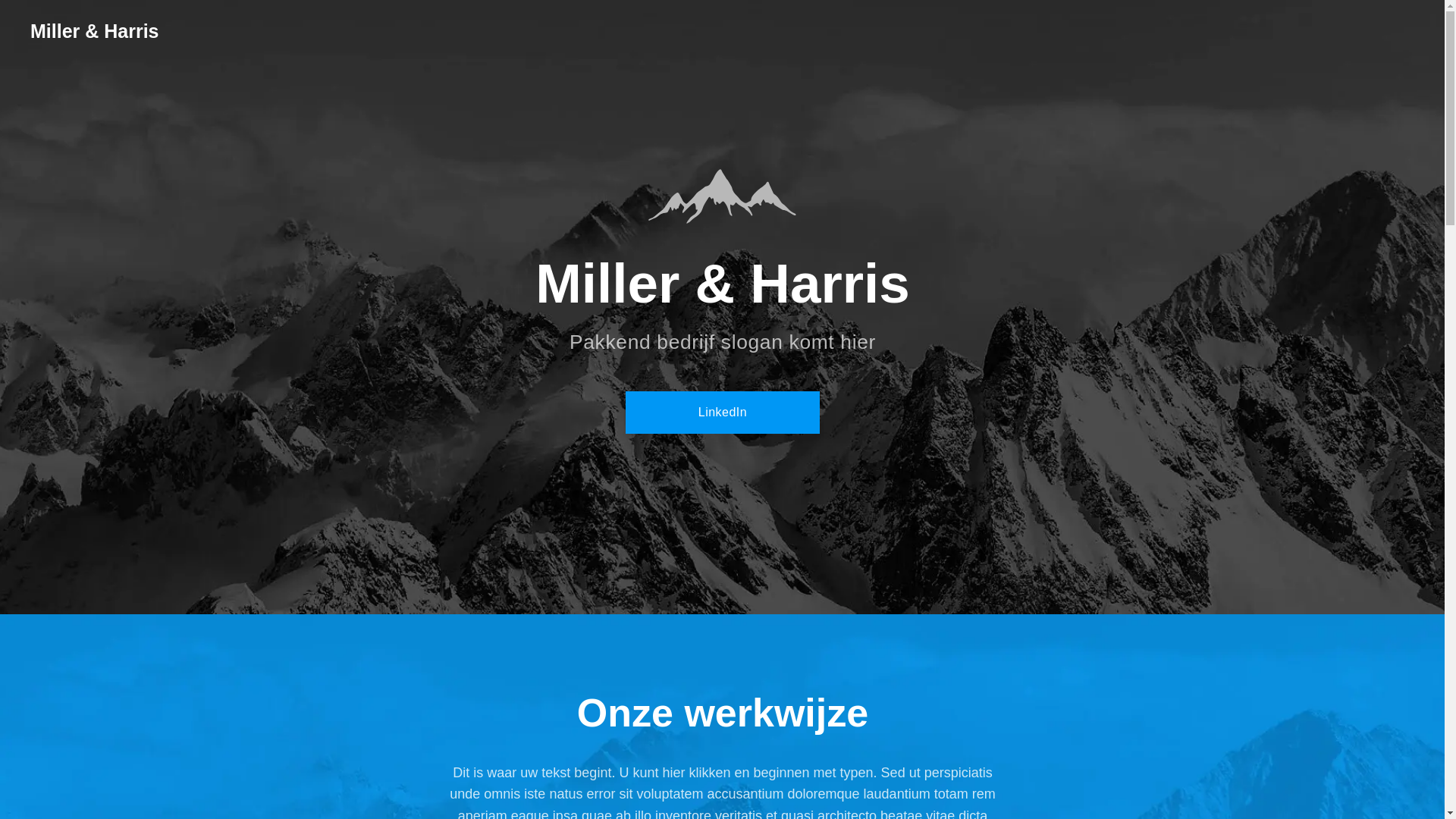 website screenshot of https://dvbergen.nl/
