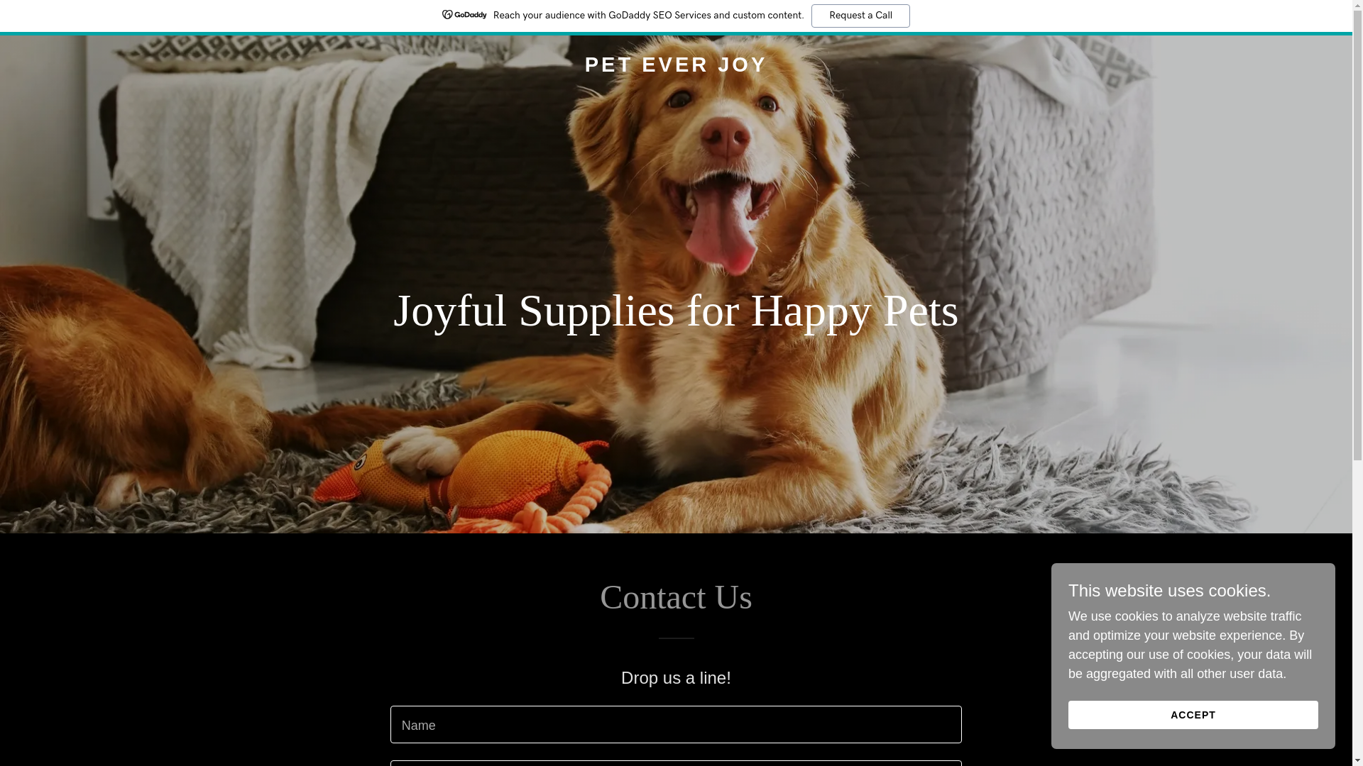 website screenshot of https://peteverjoy.com/