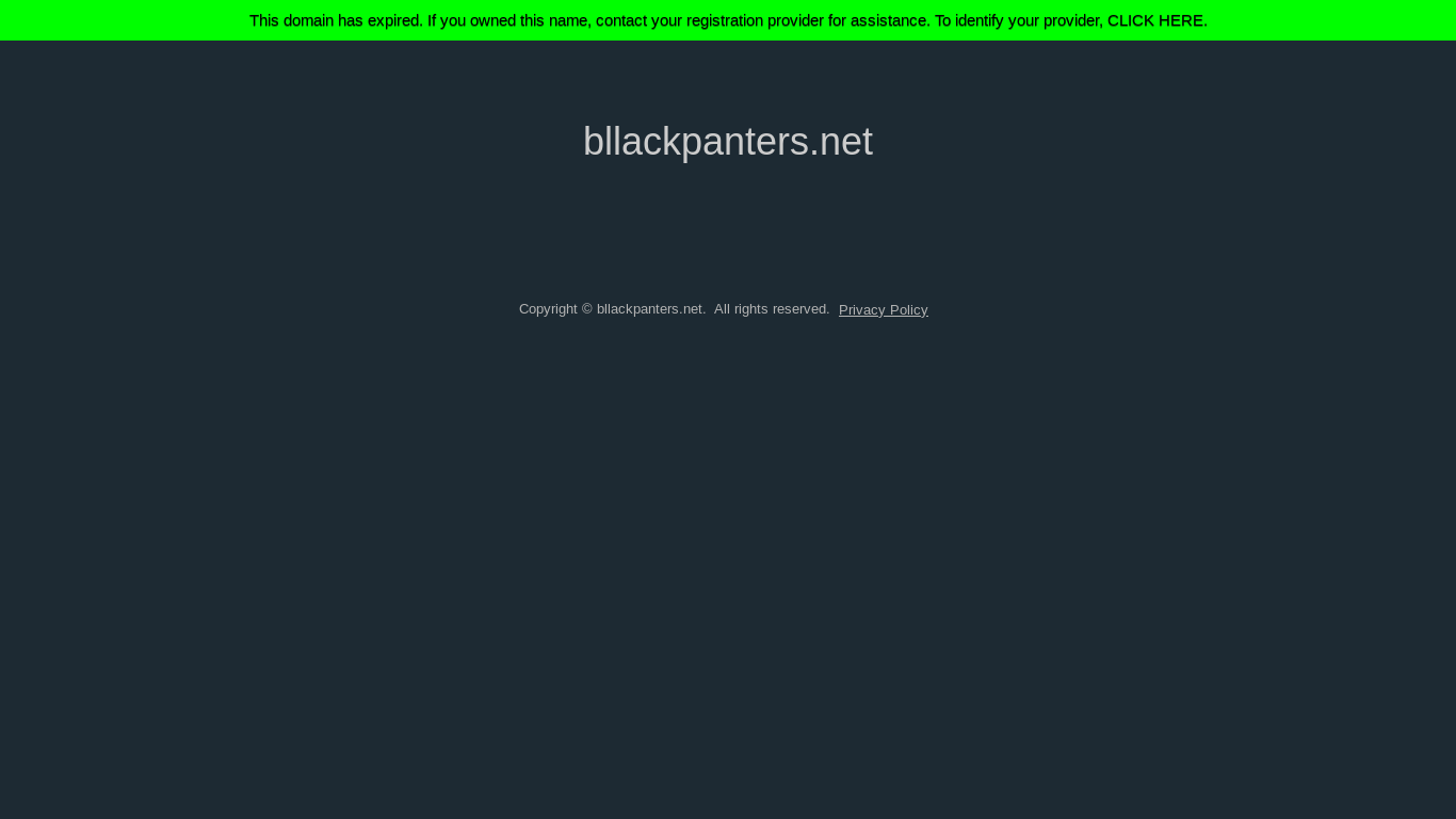website screenshot of https://bllackpanters.net/