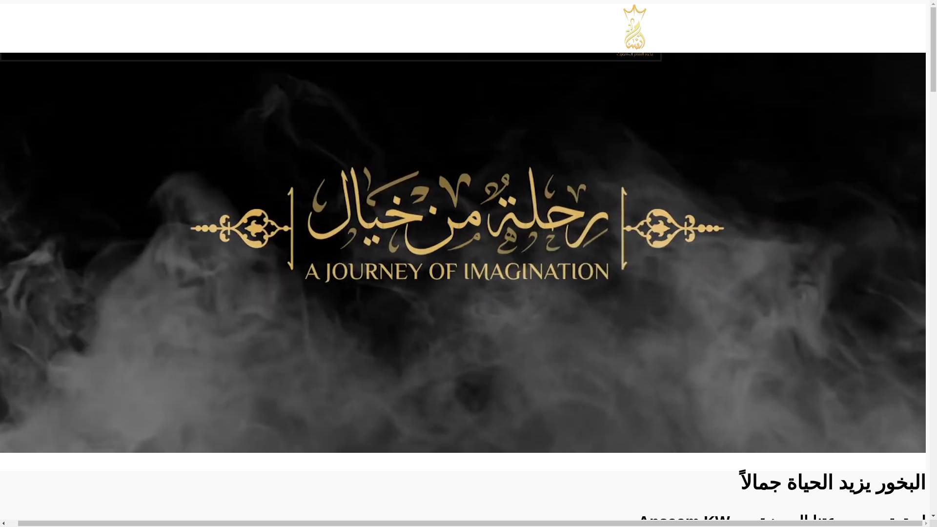 website screenshot of https://ansaamkw.com/