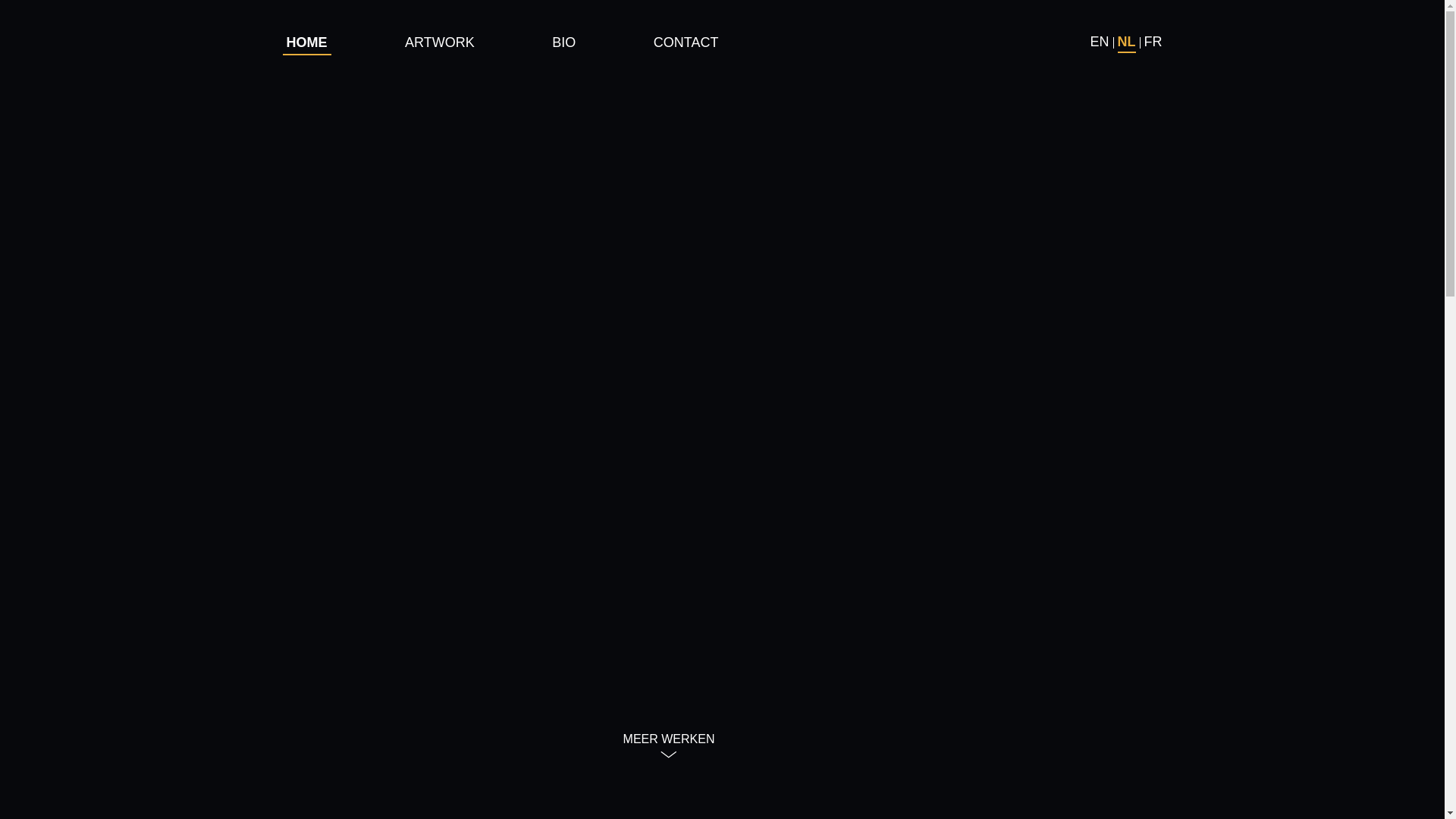 website screenshot of https://guyducheyne.be/