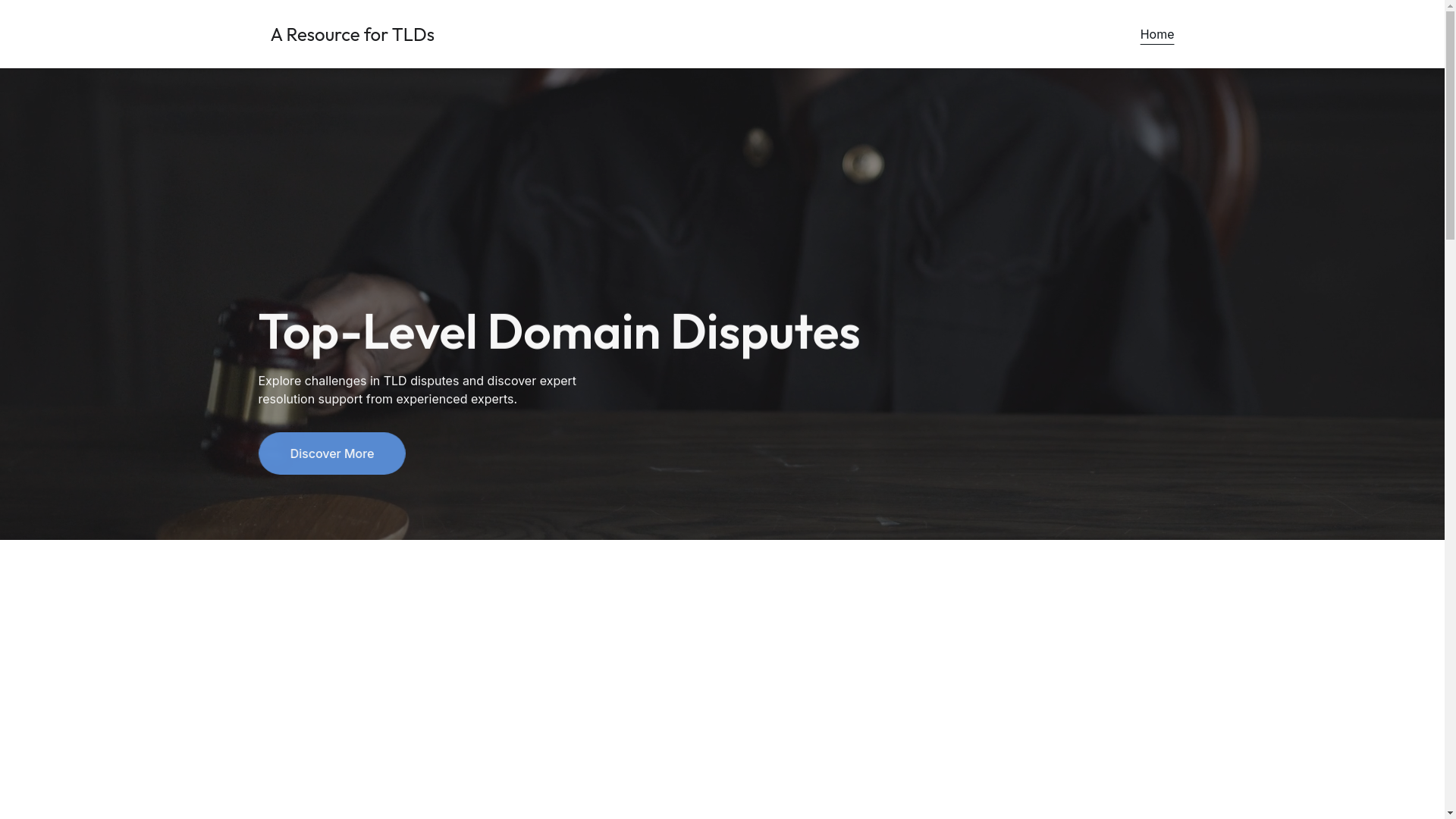 website screenshot of https://topleveldisputes.com/