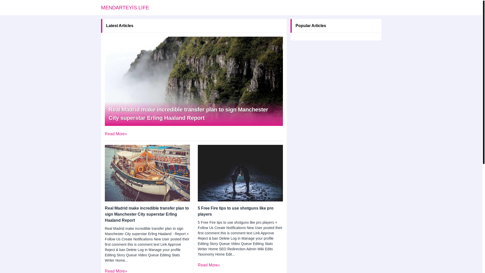 website screenshot of https://mendarteyis.life/