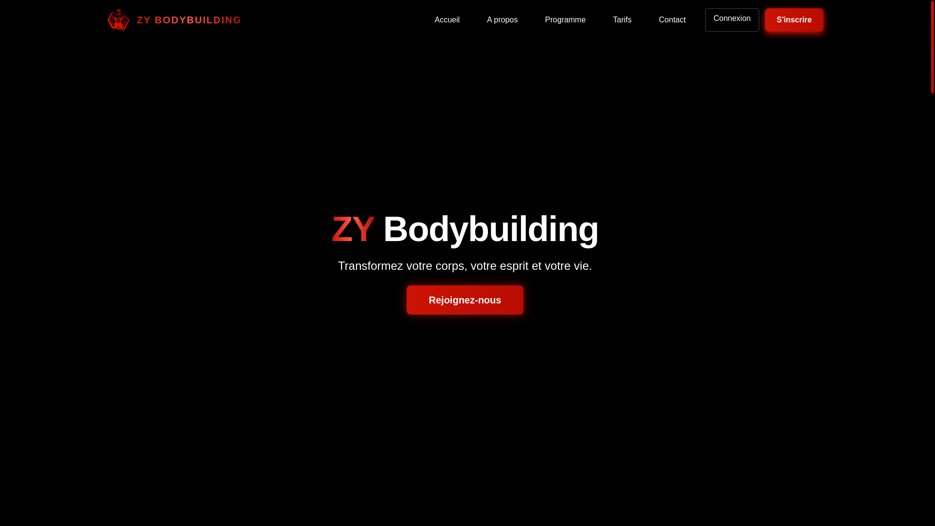 website screenshot of https://zybodybuilding.space/
