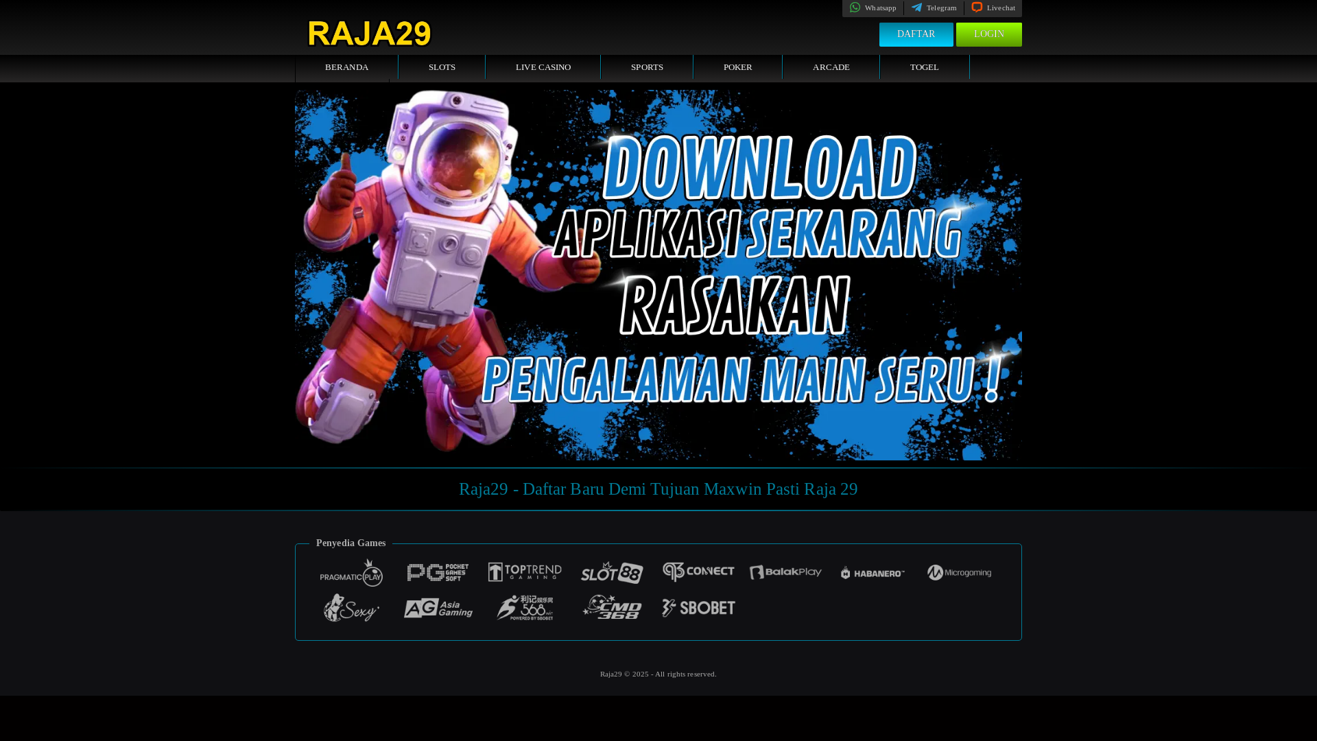 website screenshot of https://raja29s.com/