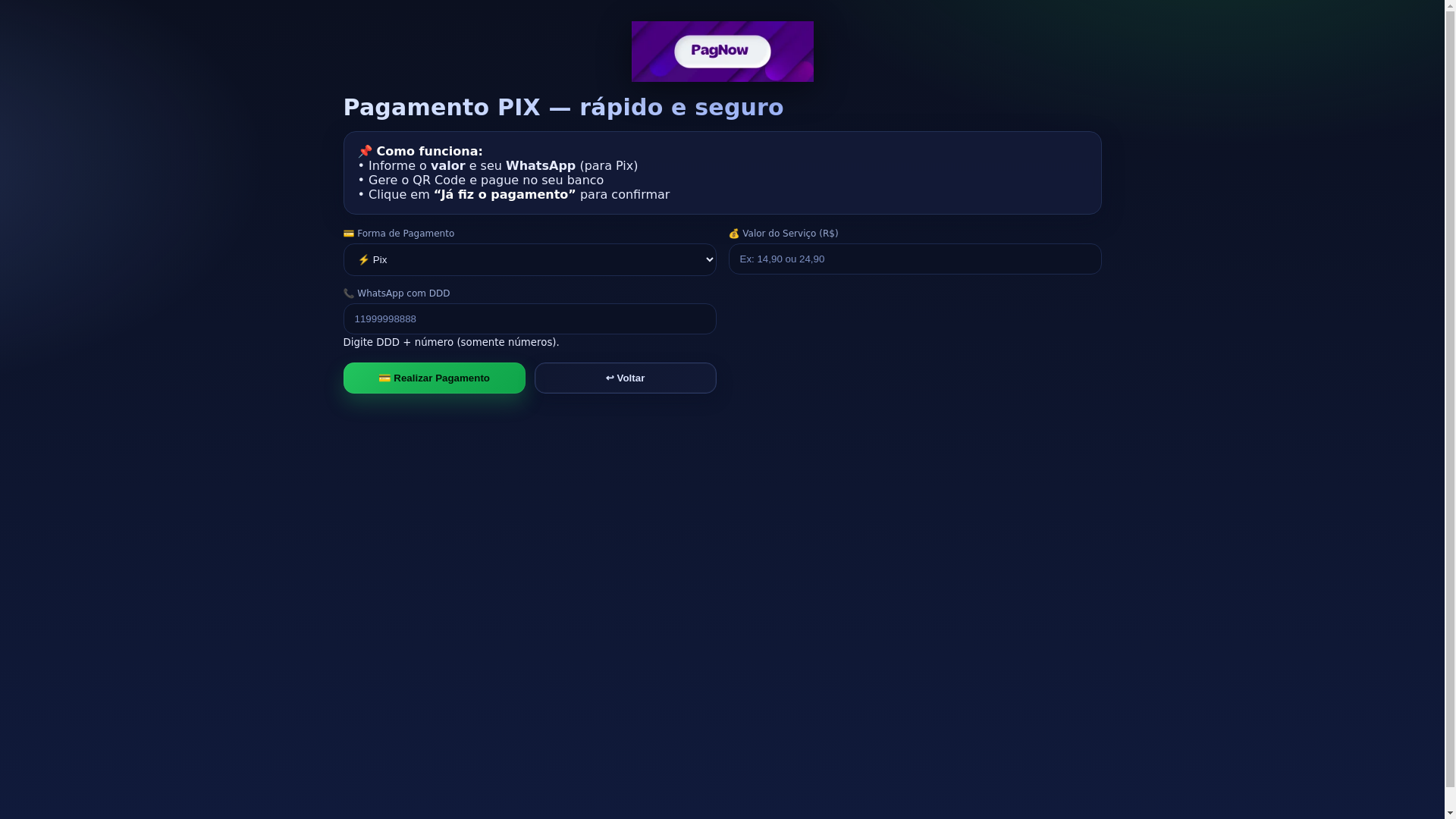 website screenshot of https://pagnow.store/