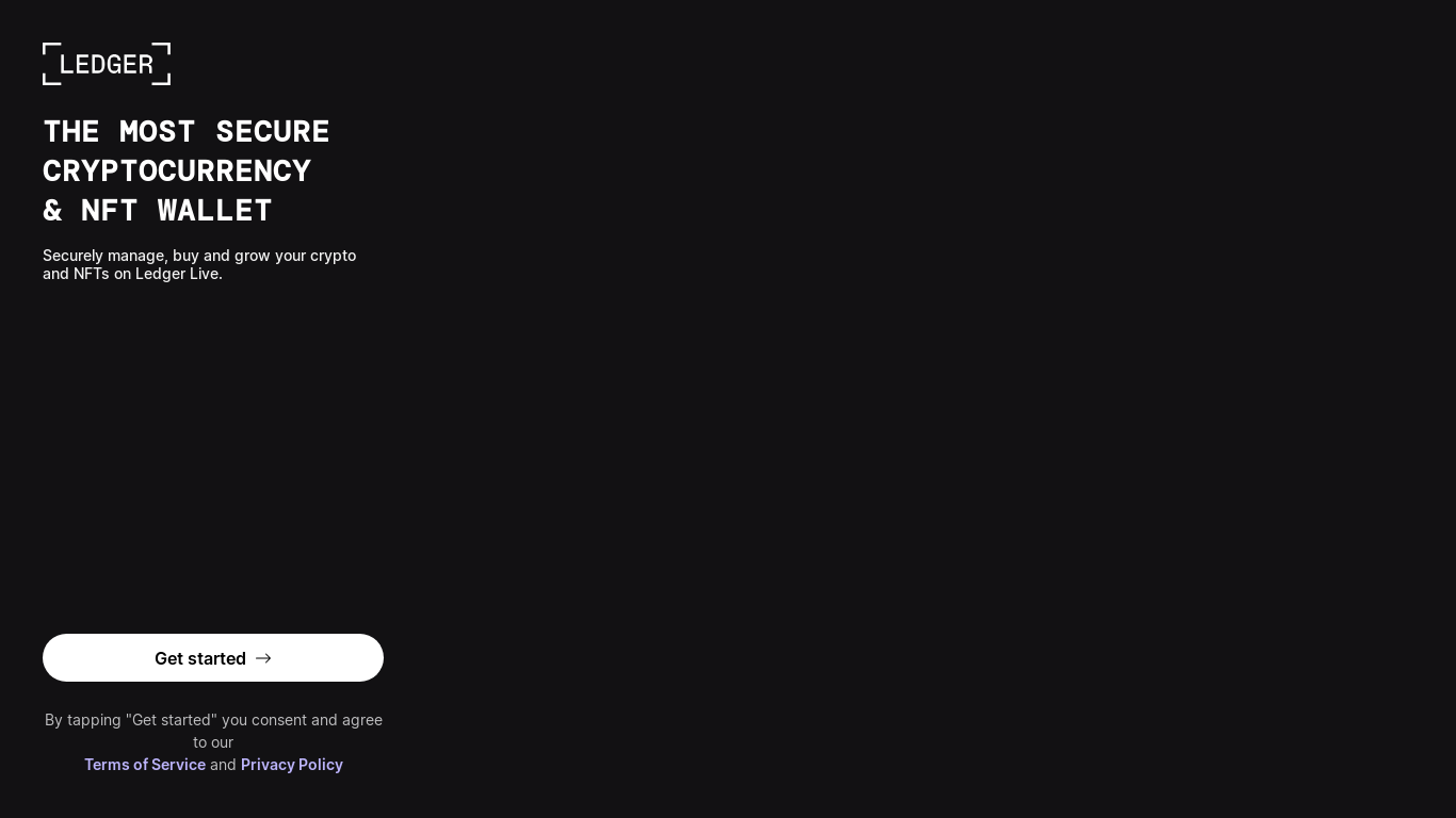 website screenshot of https://www.us-ledger.com