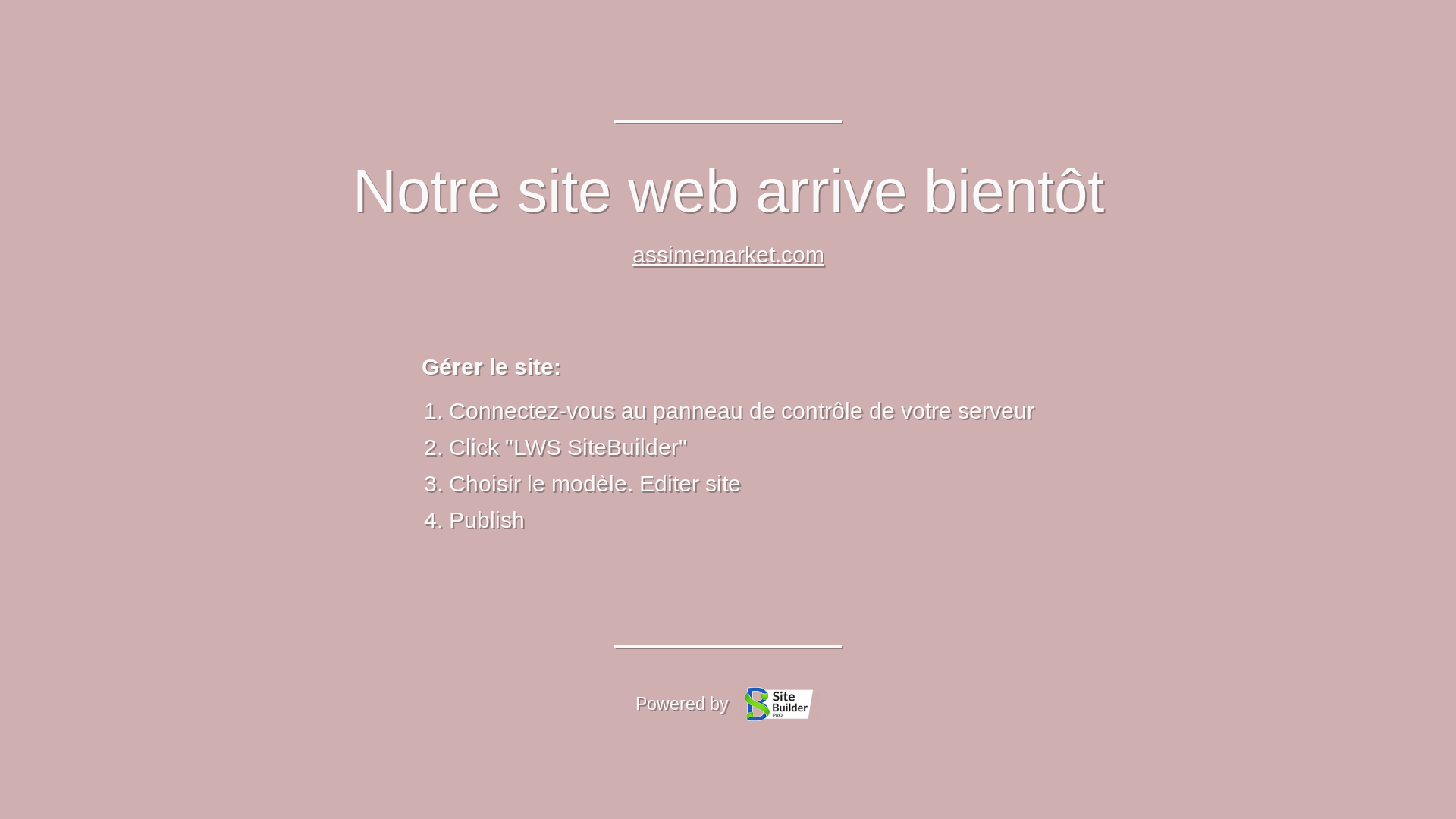 website screenshot of https://assimemarket.com/