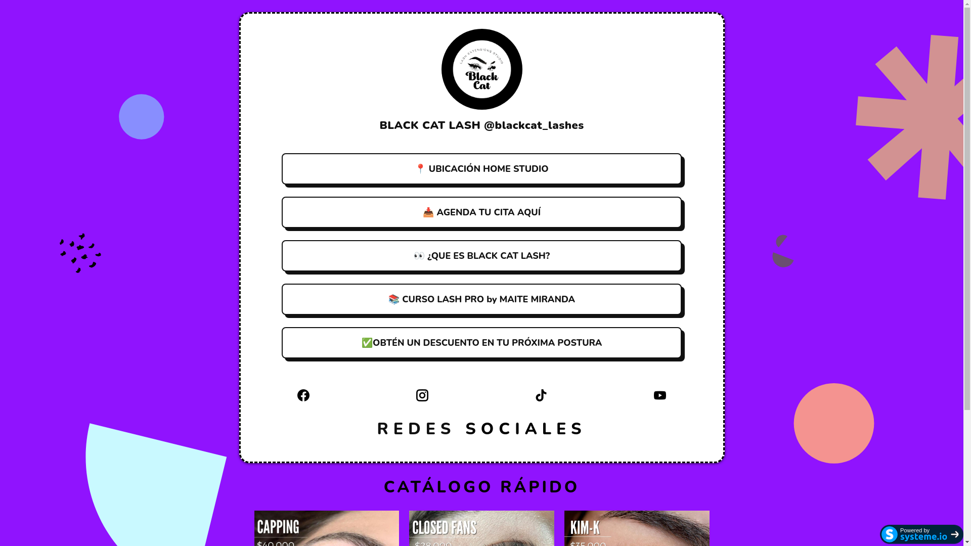 website screenshot of https://blackcatlash.pro/