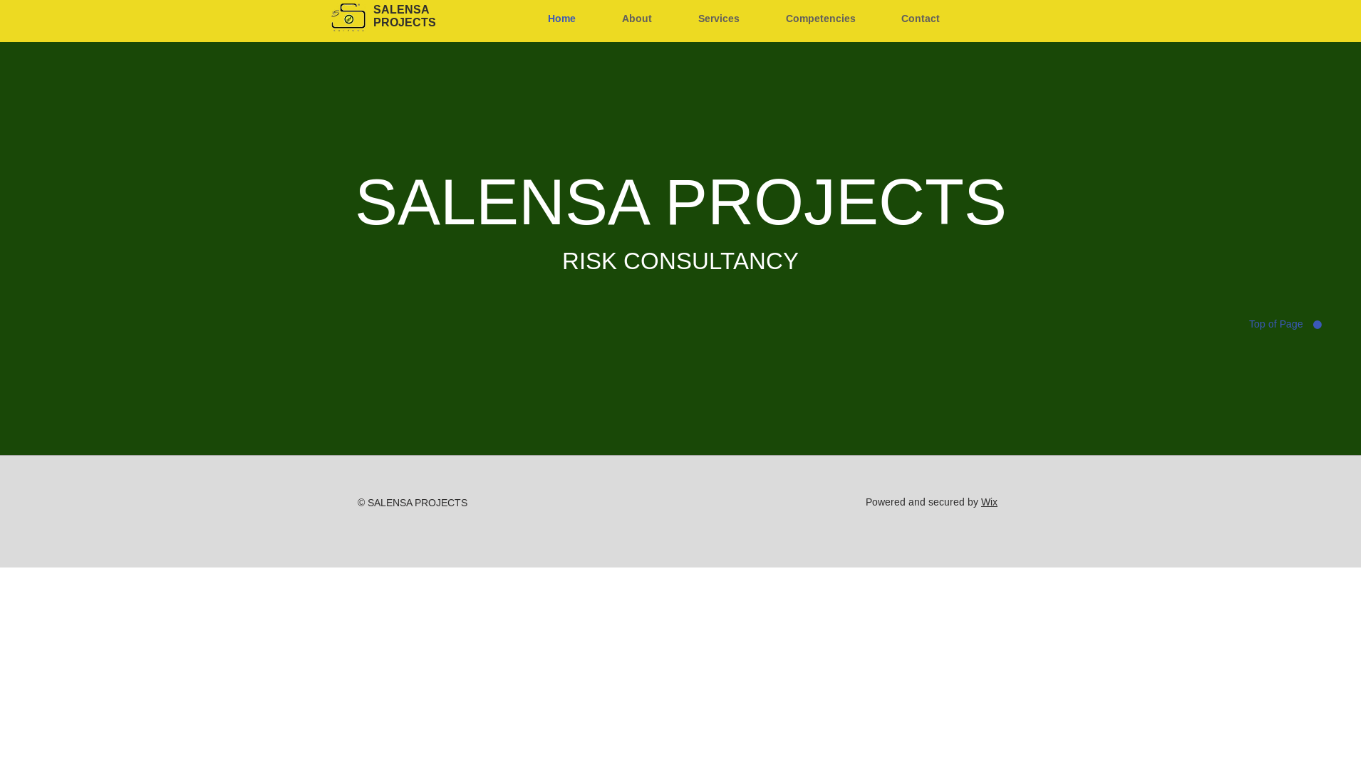 website screenshot of https://salensaprojects.com/