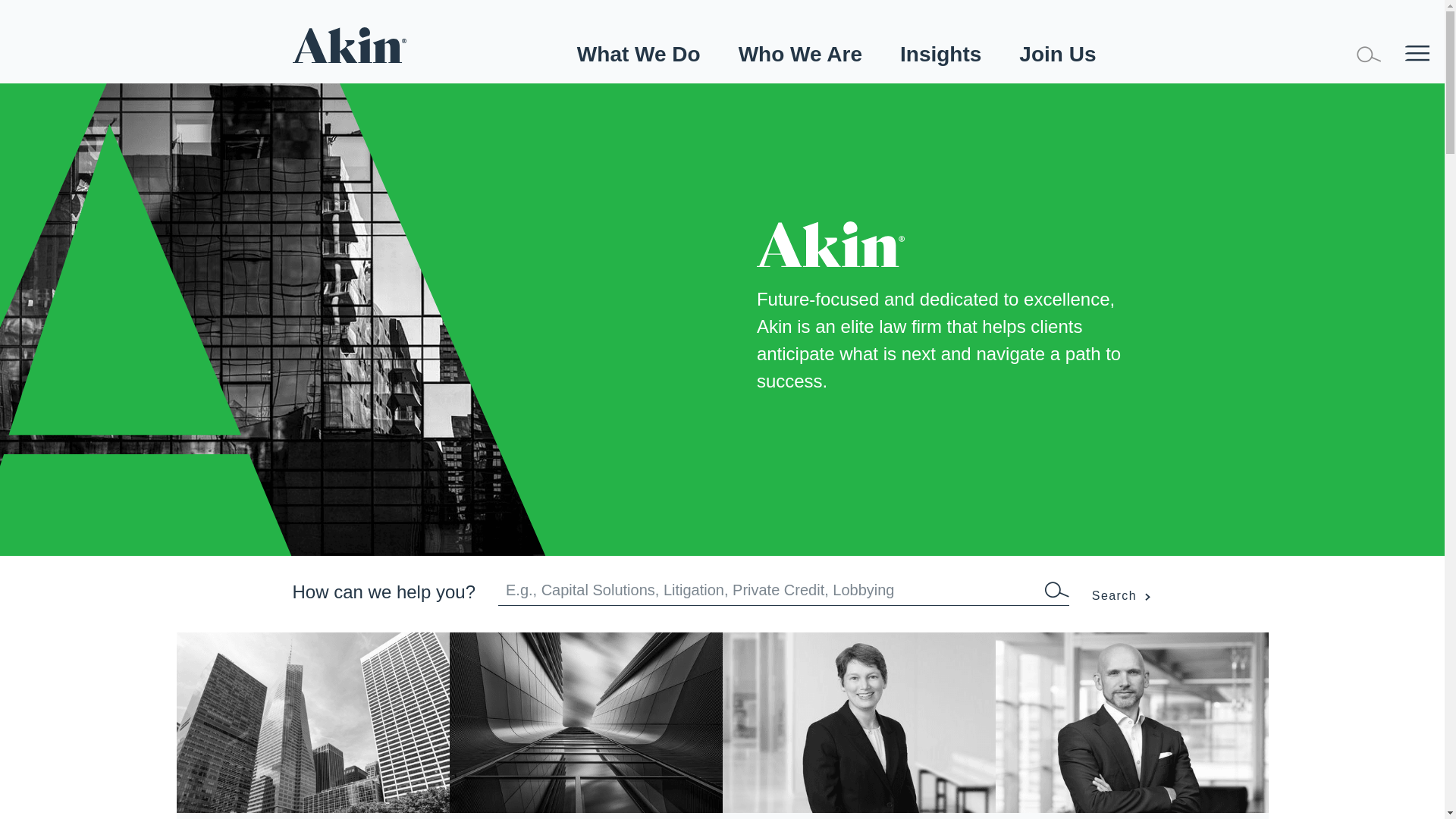 website screenshot of http://www.akingump.com/