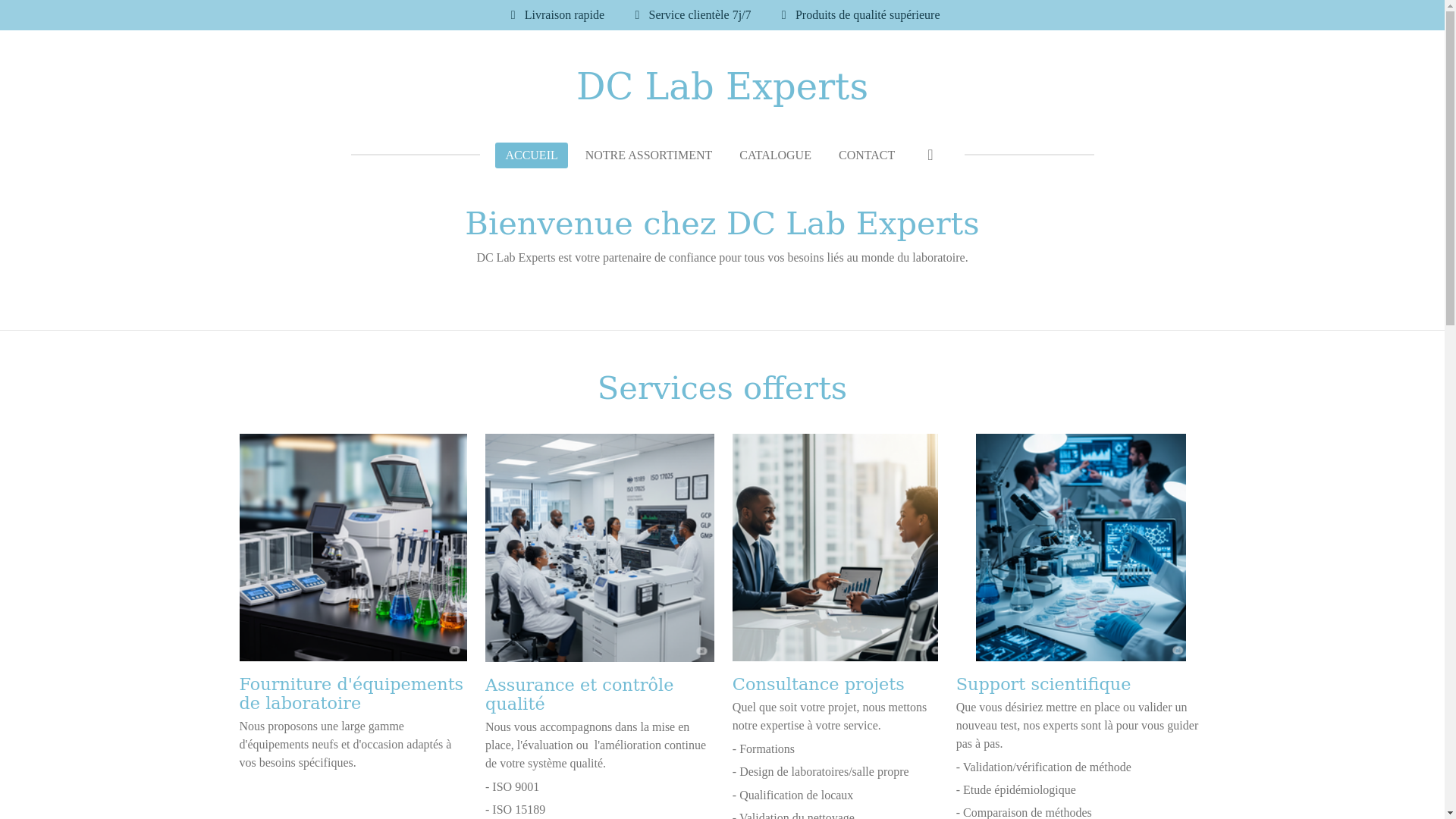 website screenshot of https://dc-lab-experts.com/