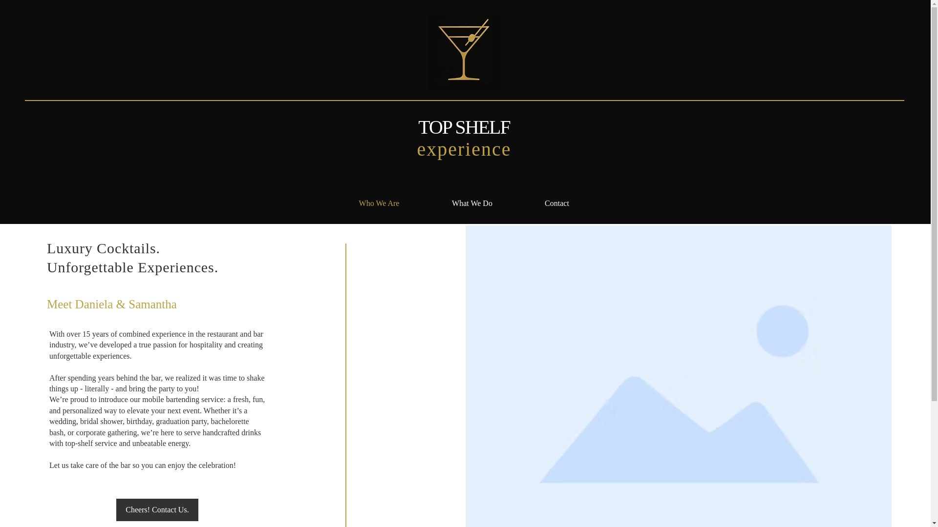 website screenshot of https://topshelfexperience.net/