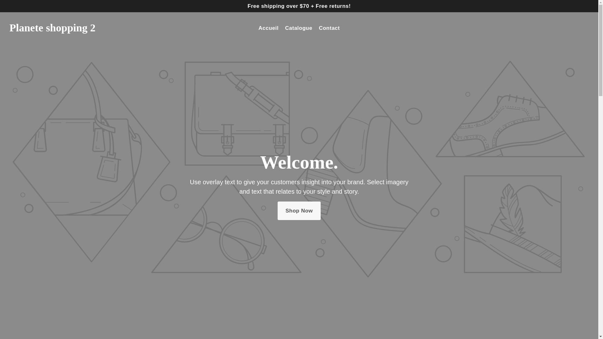 website screenshot of https://planeteshopping.store/