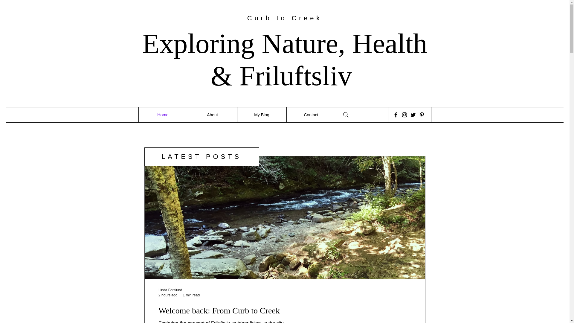 website screenshot of https://curbtocreek.com/