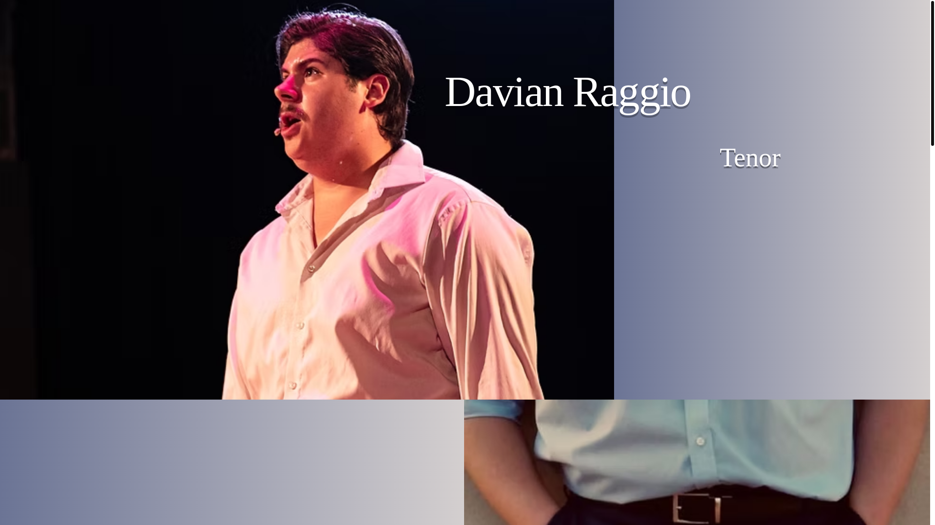 website screenshot of https://davianraggio.com/