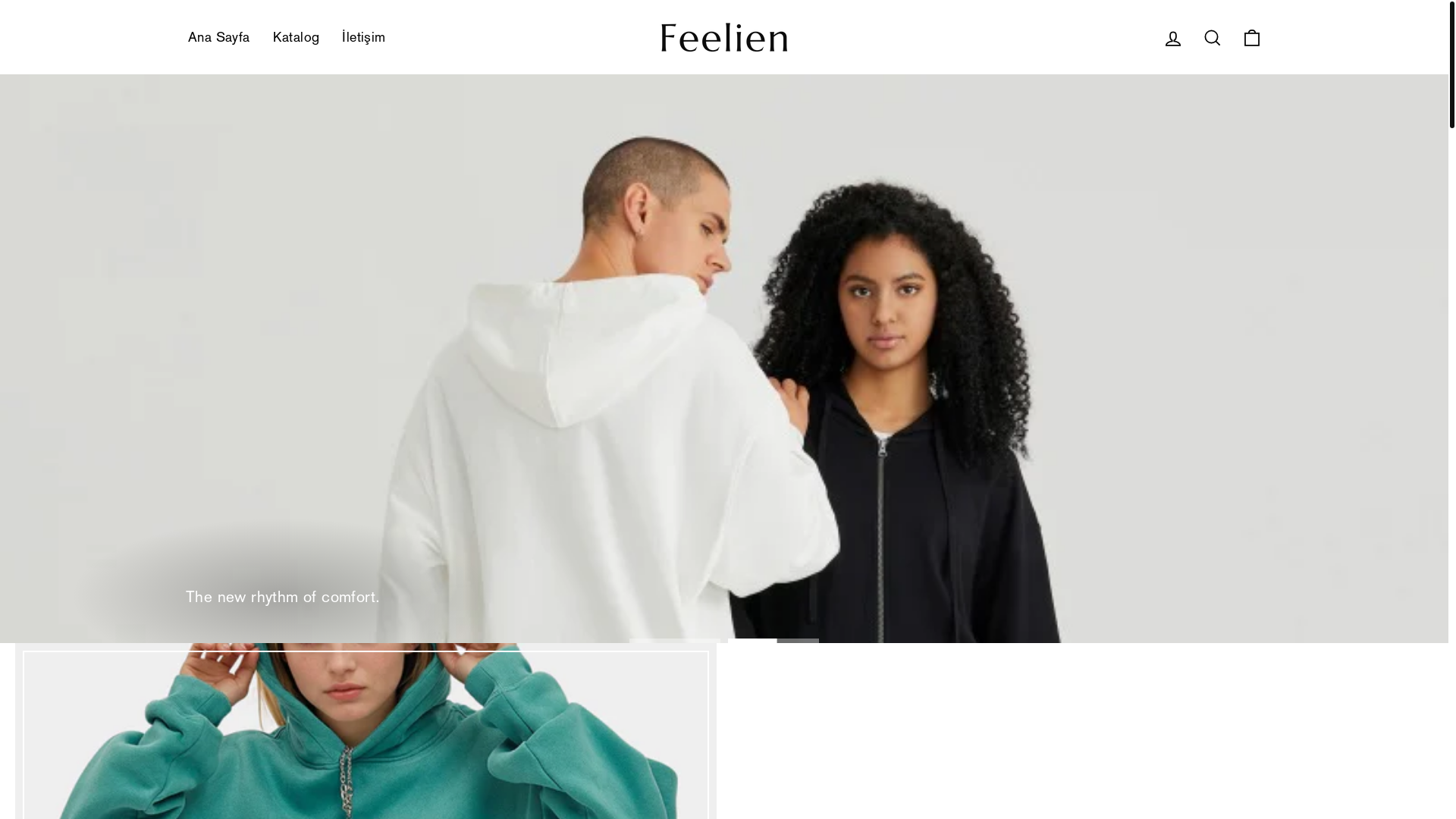 website screenshot of https://feelien.com/