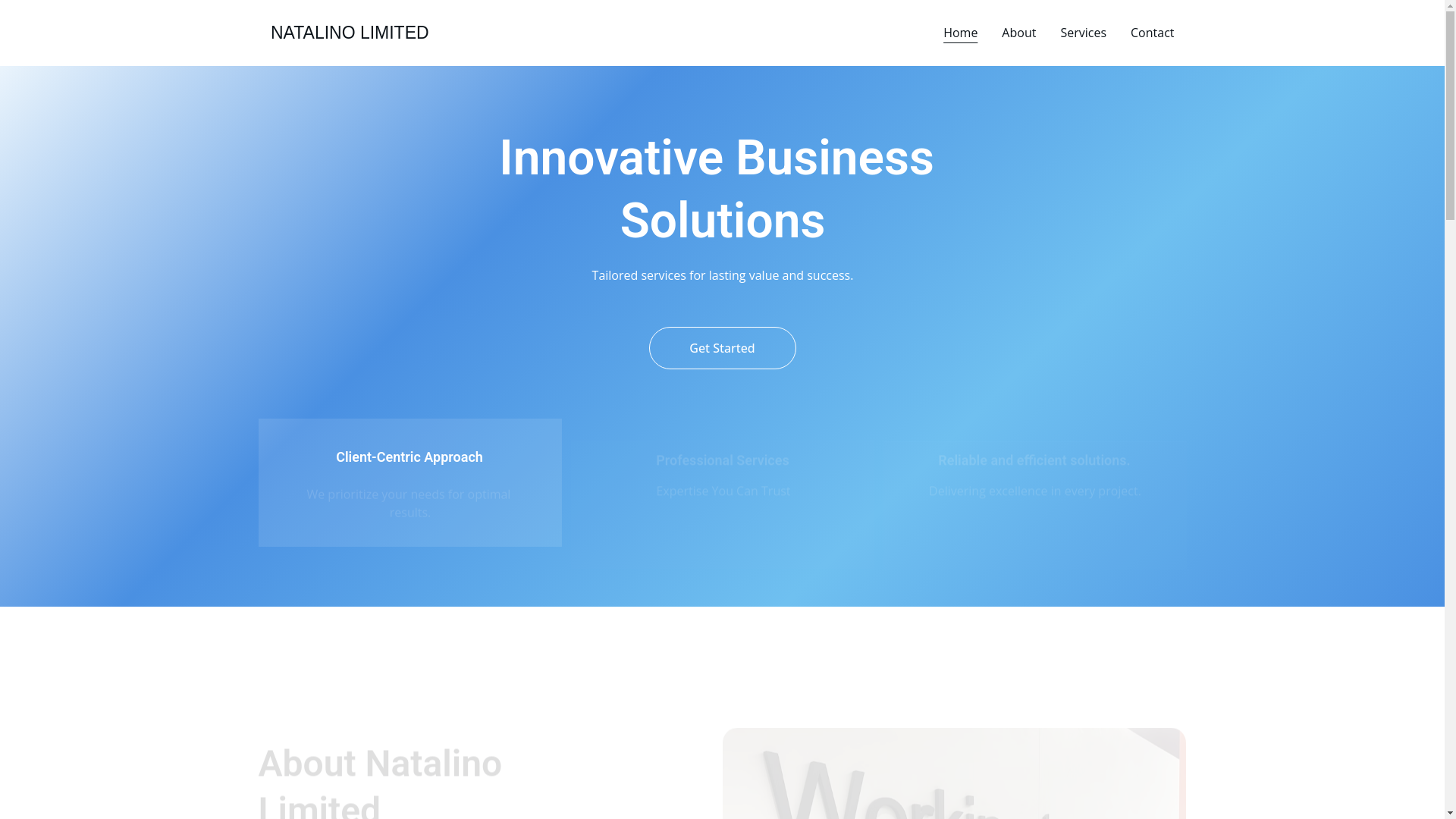website screenshot of https://natalinoltd.online/