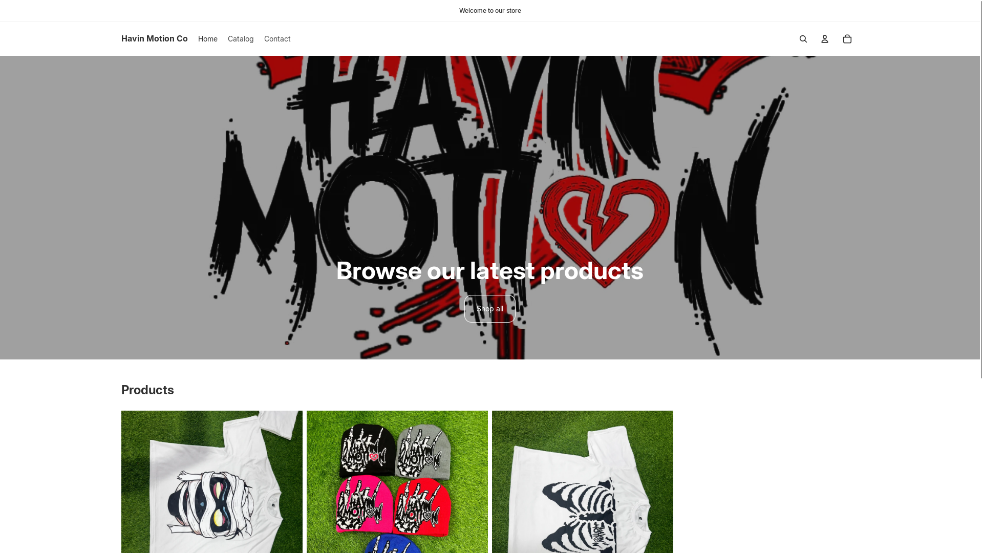 website screenshot of https://havinmotionco.com/