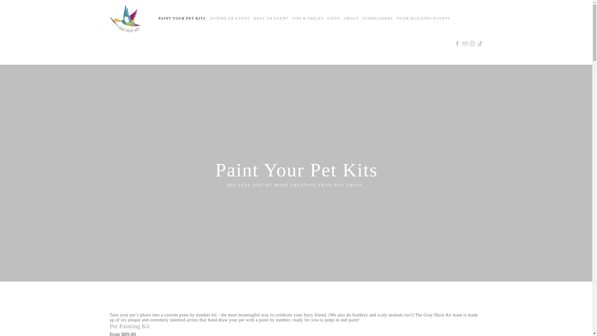 website screenshot of https://shoppaintkits.com/