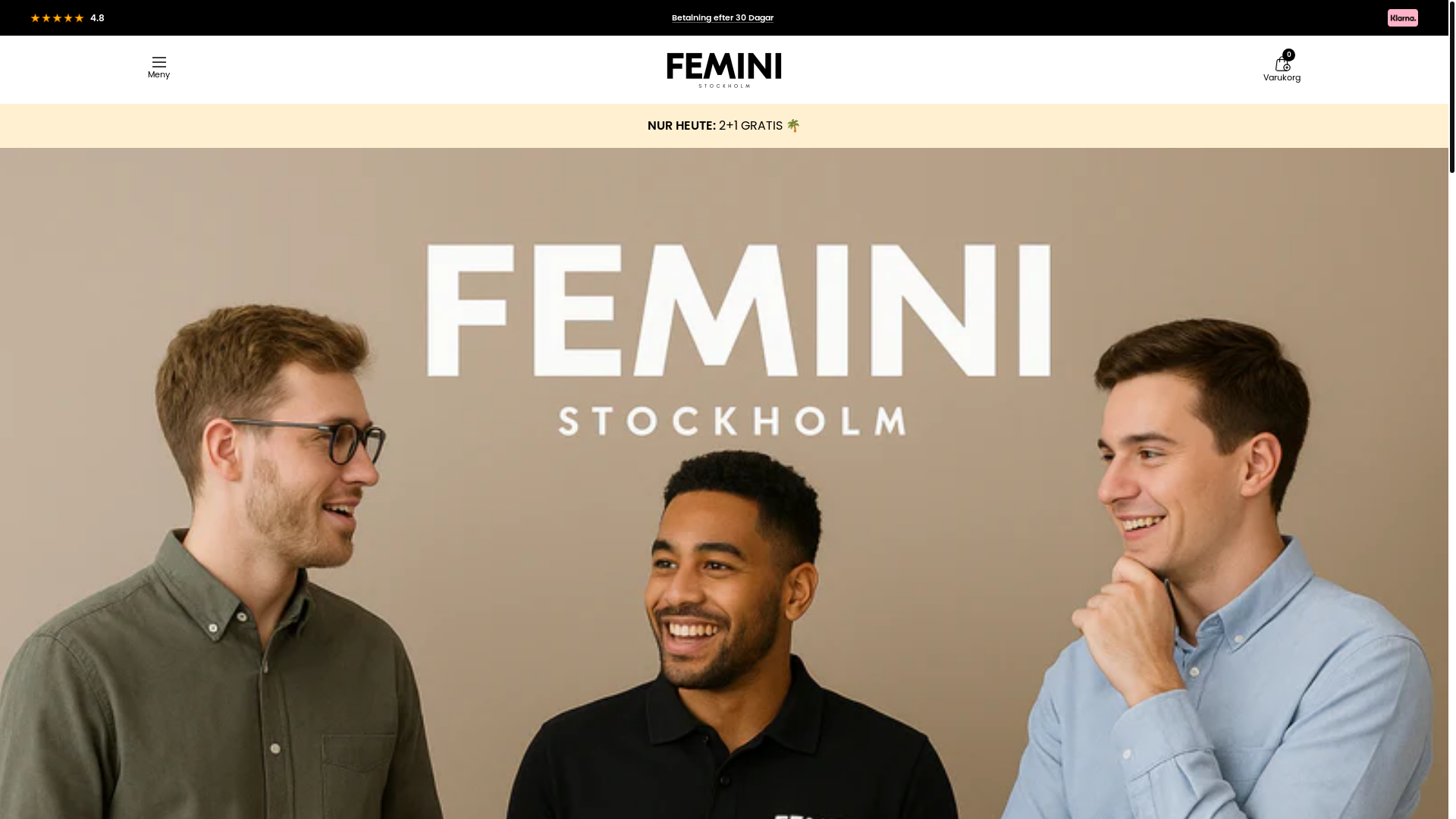 website screenshot of https://feministockholm.com/