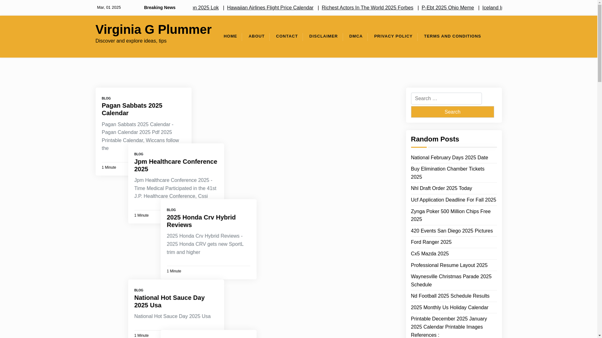website screenshot of https://virginiagplummera.pages.dev/