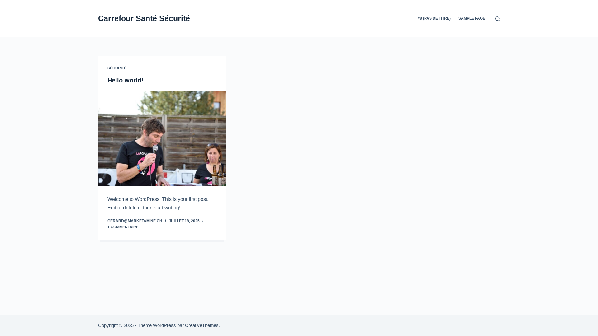 website screenshot of https://carrefour-sante-securite.ch/