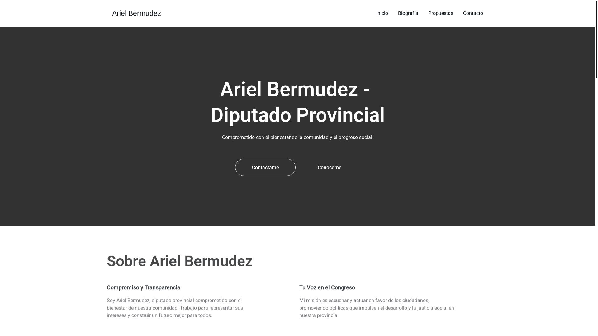 website screenshot of https://arielbermudez.ar/
