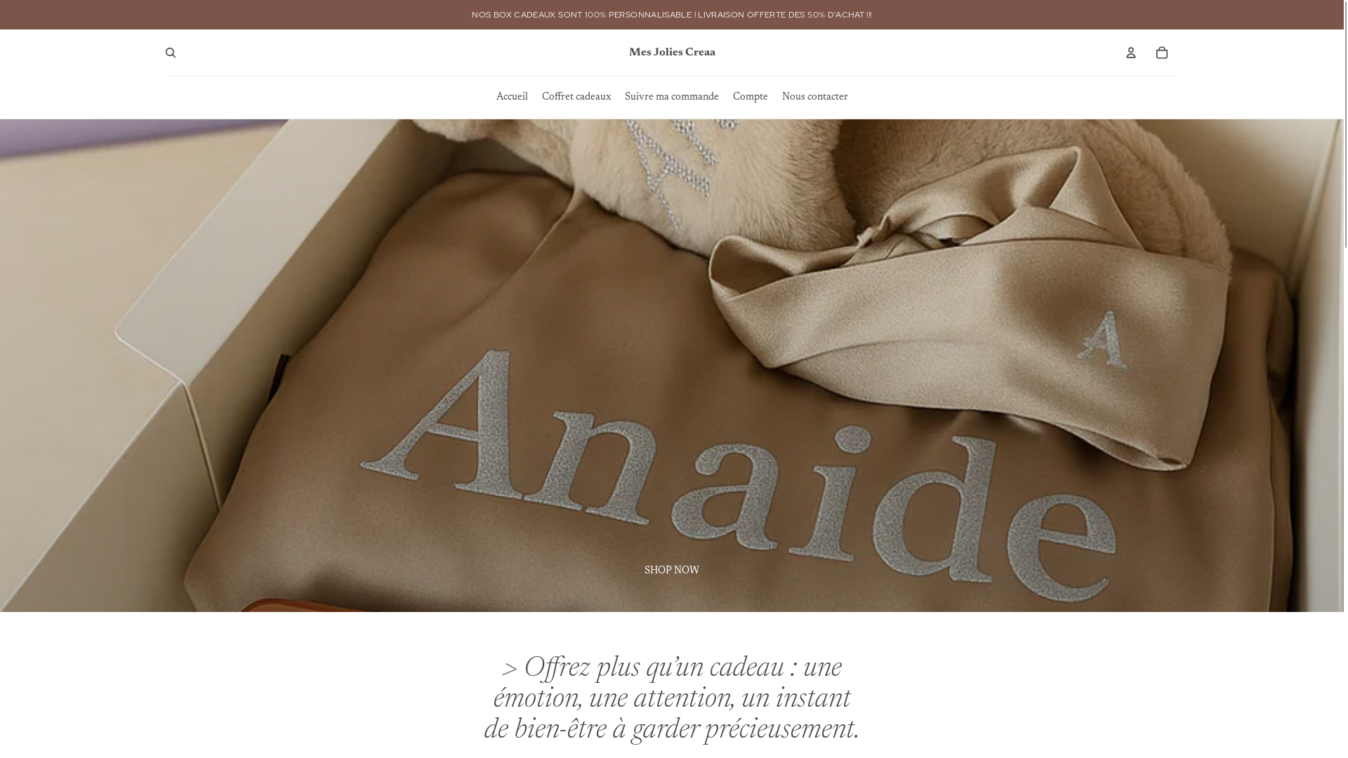 website screenshot of https://mesjoliescreaa.com/