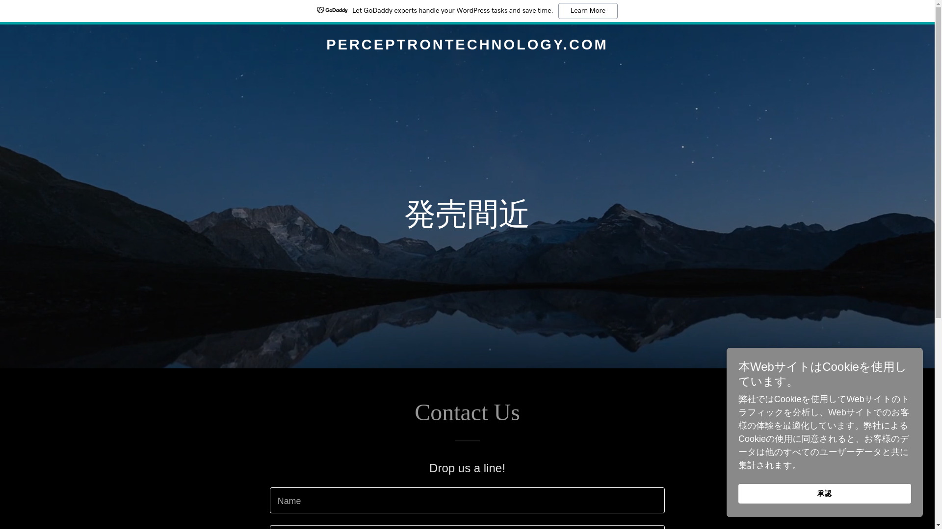 website screenshot of https://perceptrontechnology.com/