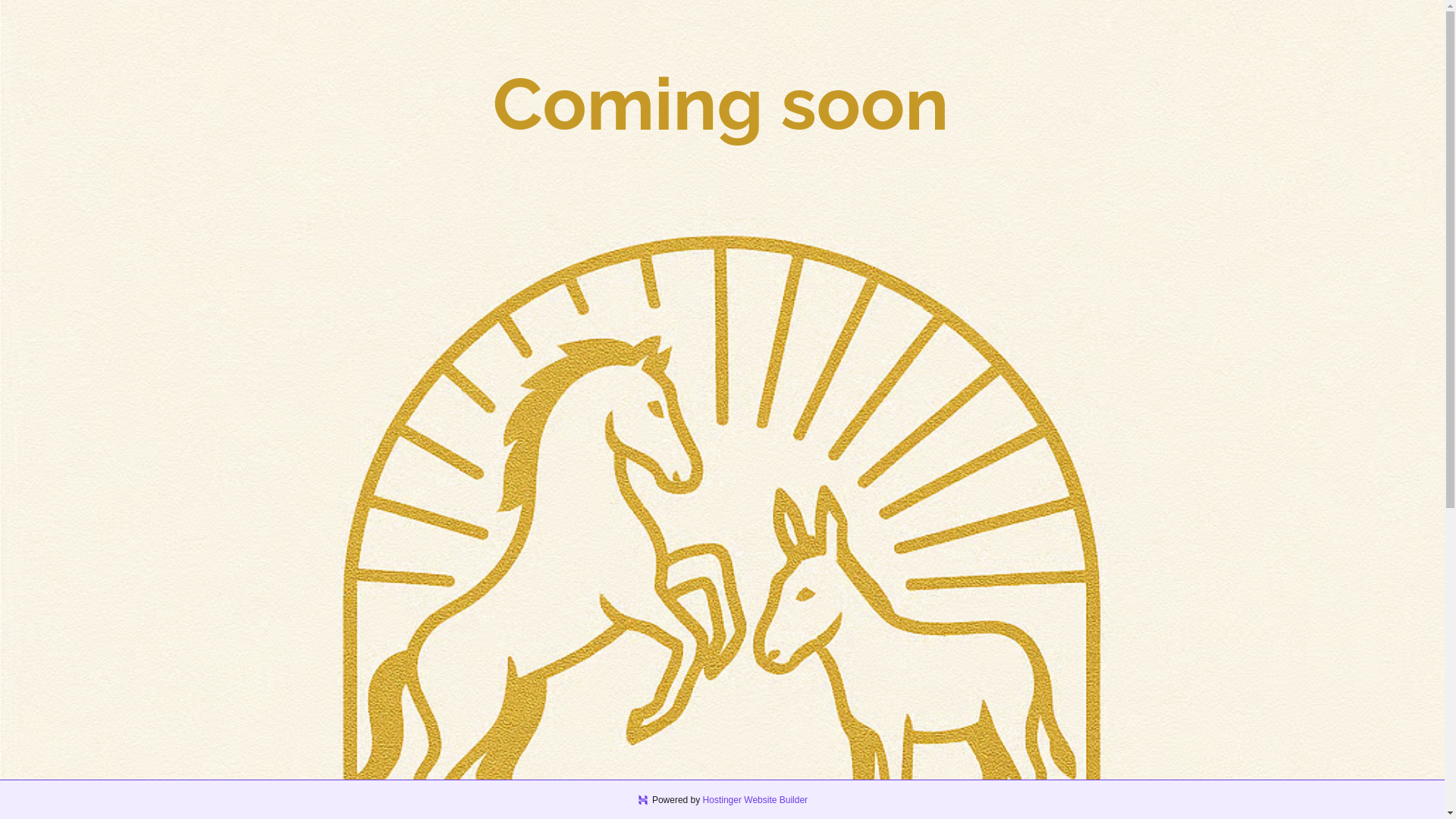 website screenshot of https://posadaaurora.es/
