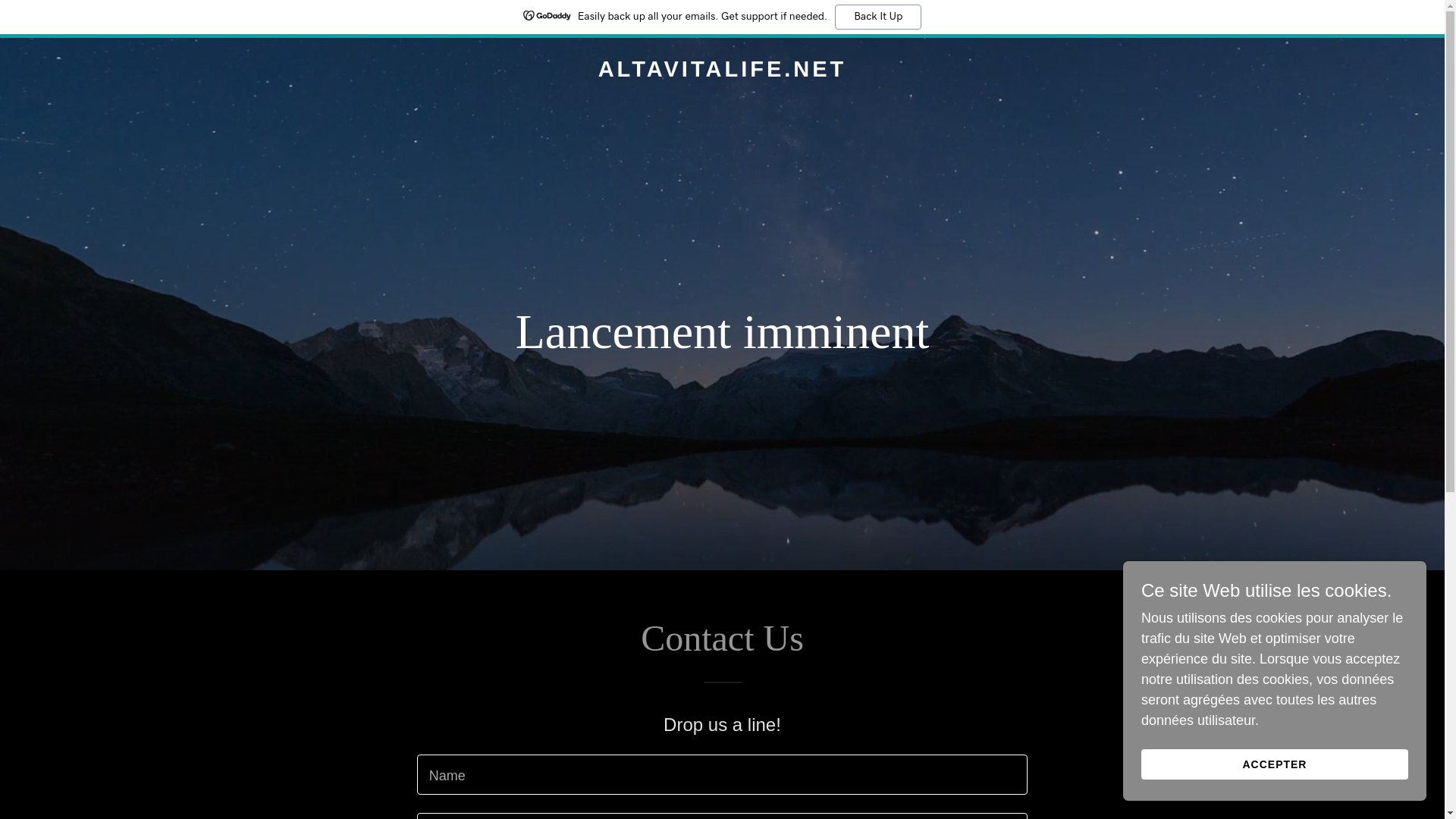 website screenshot of https://altavitalife.net/