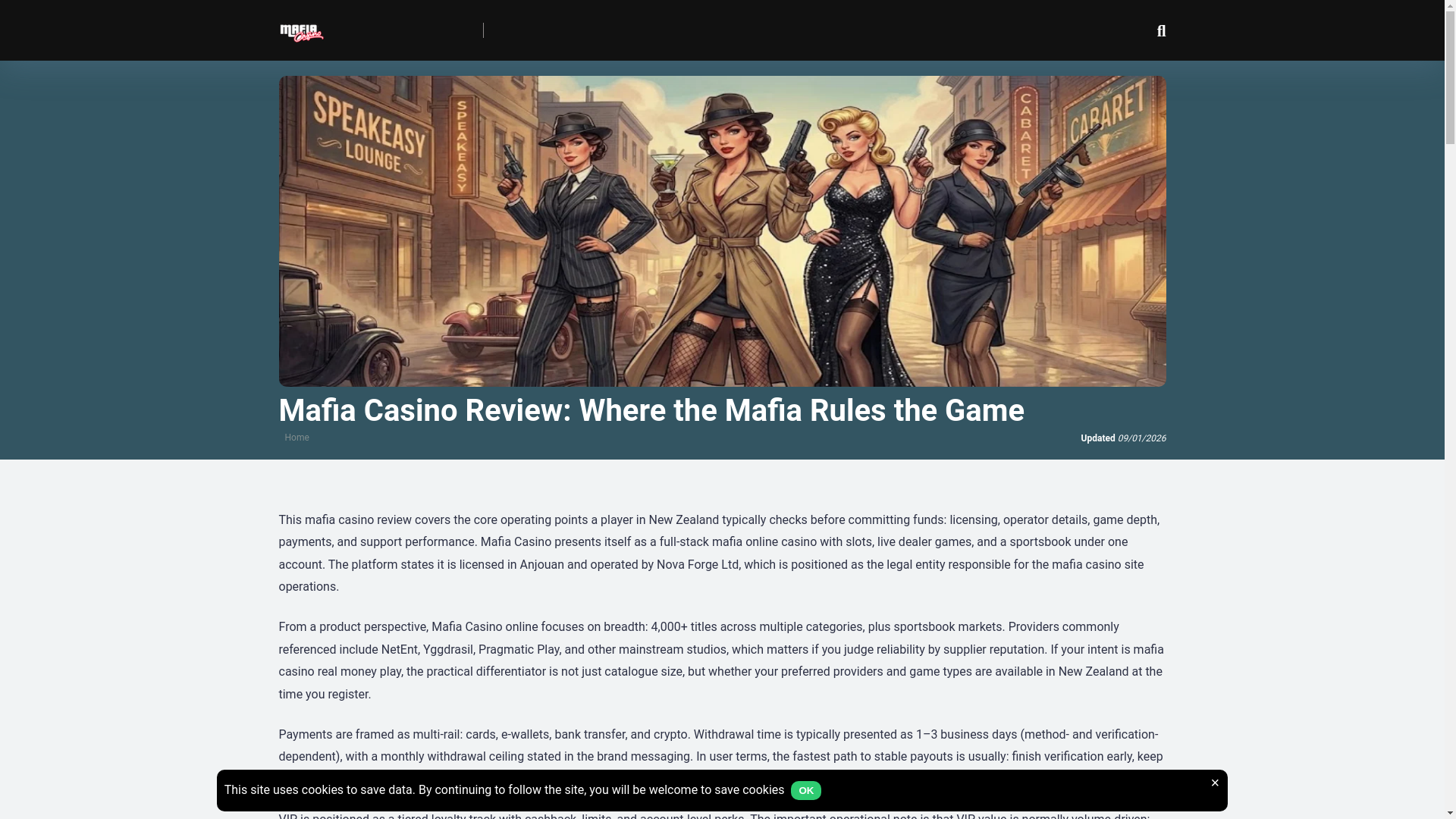 website screenshot of https://mafia-casino-nz.net/