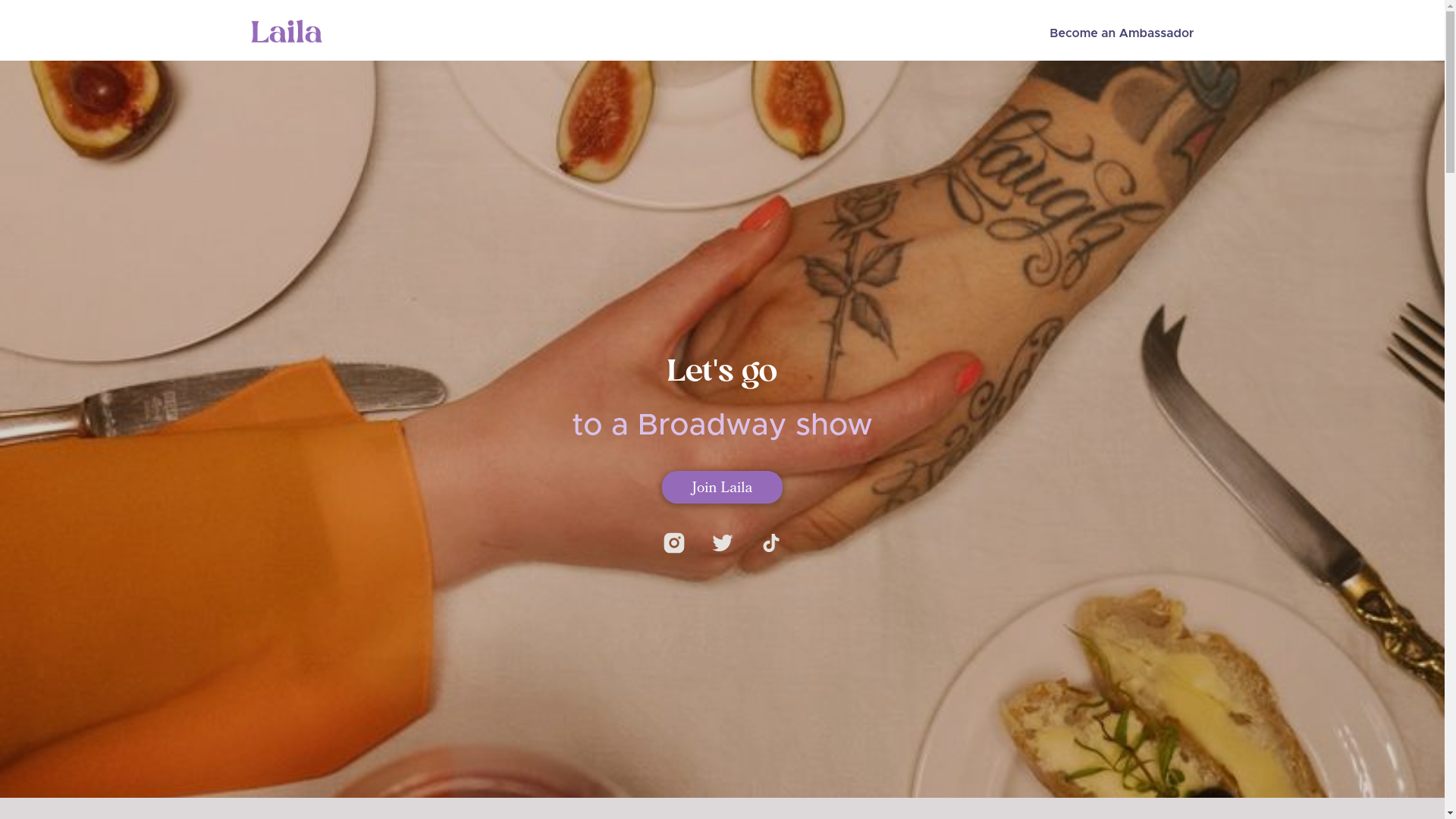 website screenshot of https://lailamatch.com/