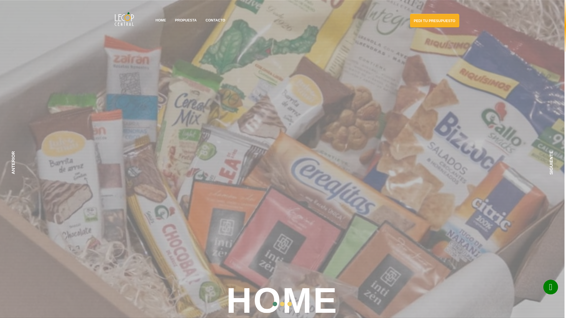 website screenshot of https://lecopcentral.pages.dev/