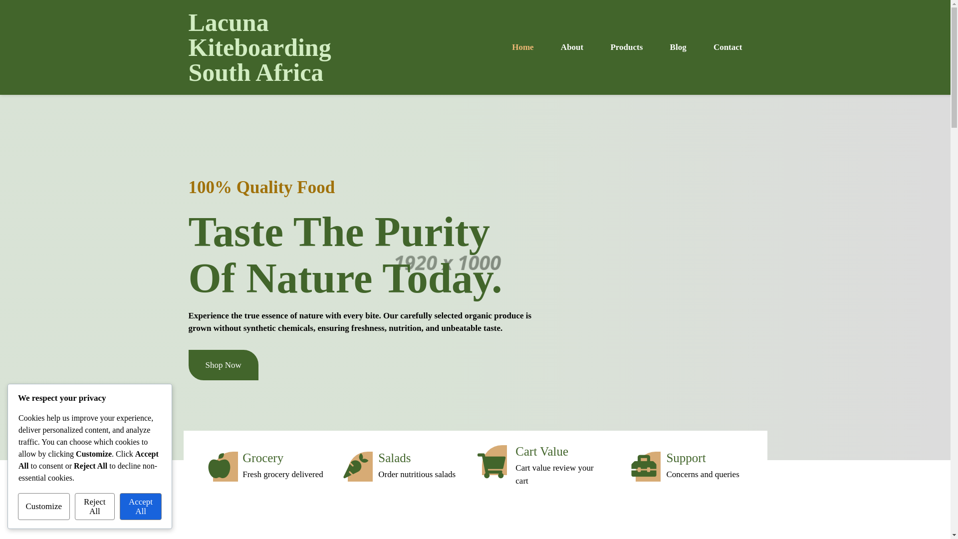 website screenshot of https://lacunakites.co.za/