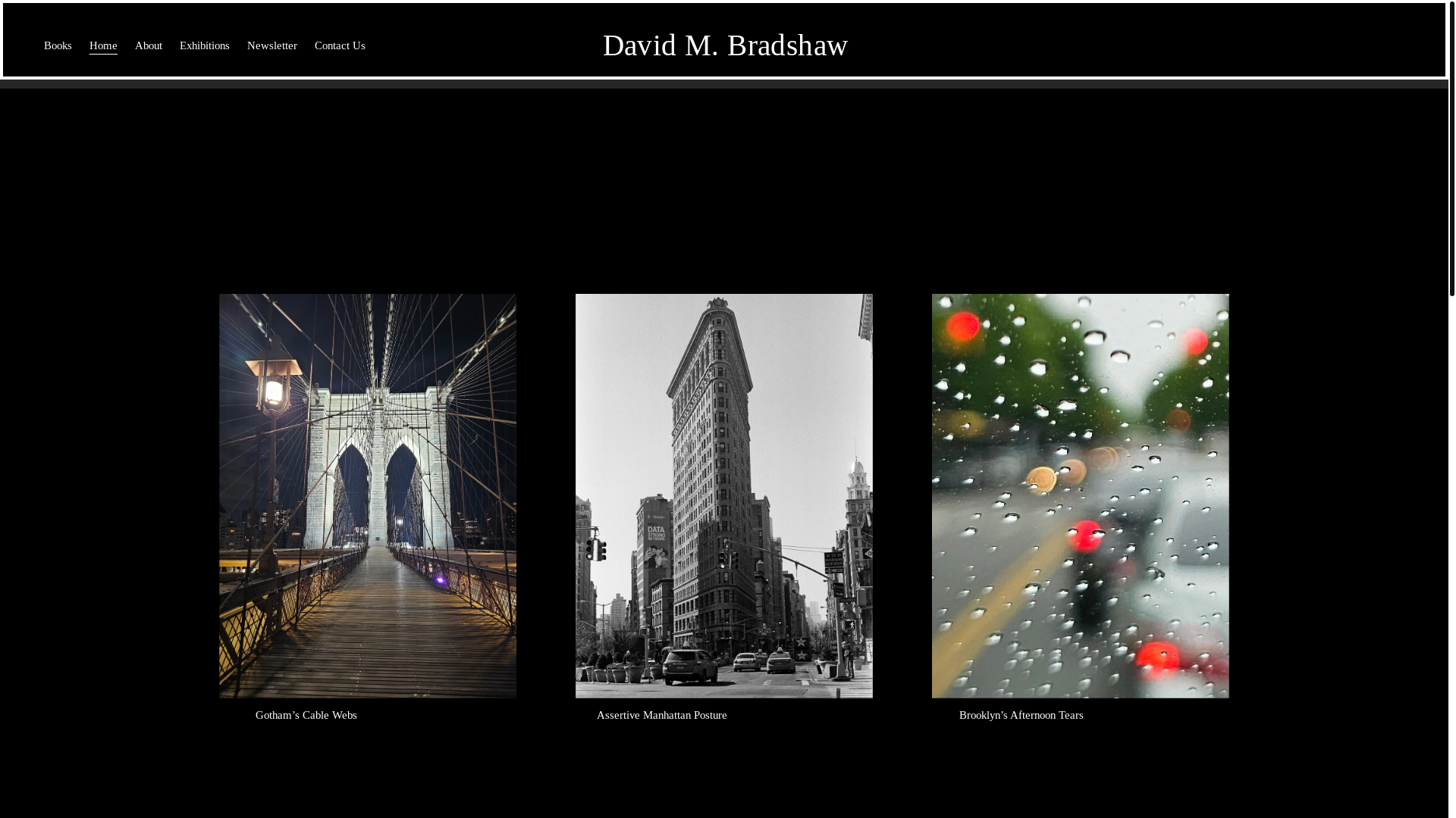 website screenshot of https://conversationswiththepharaohs.com/