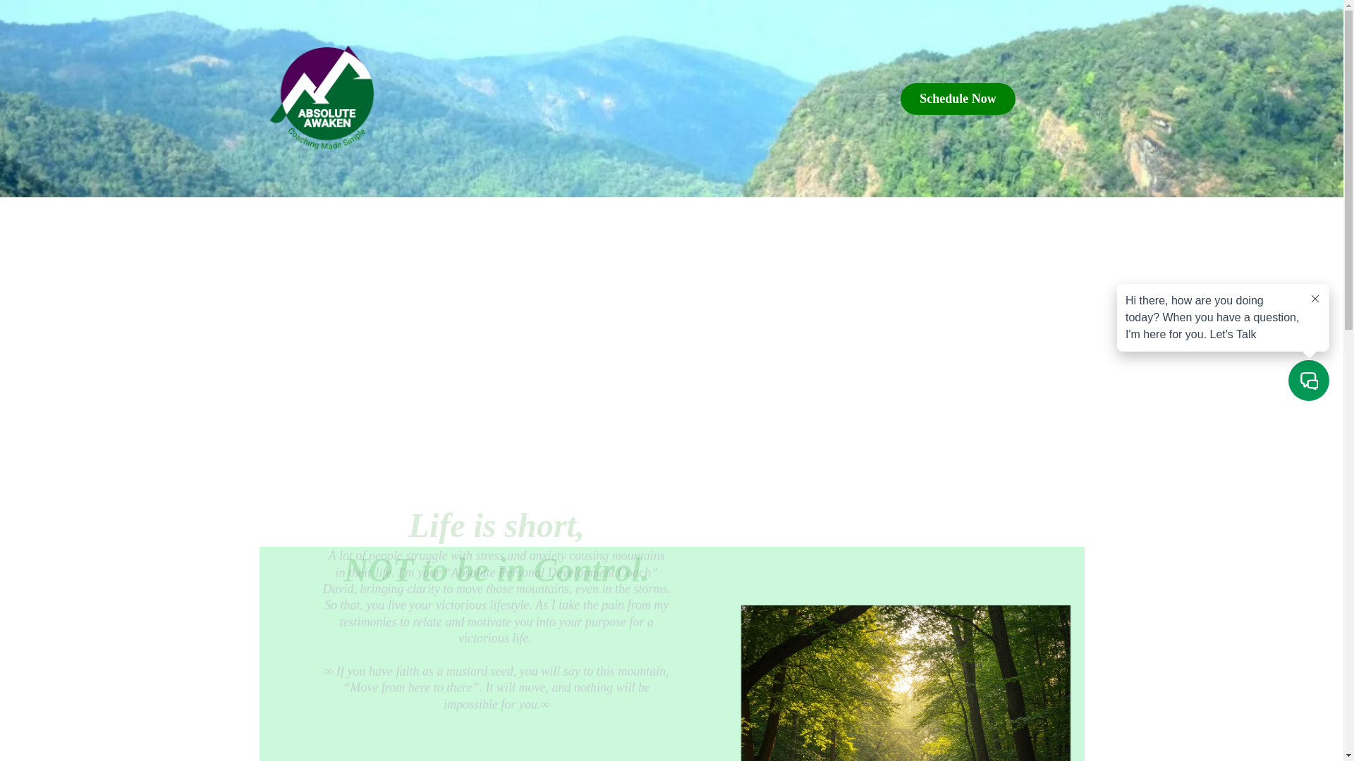 website screenshot of https://absolutejesus.org/