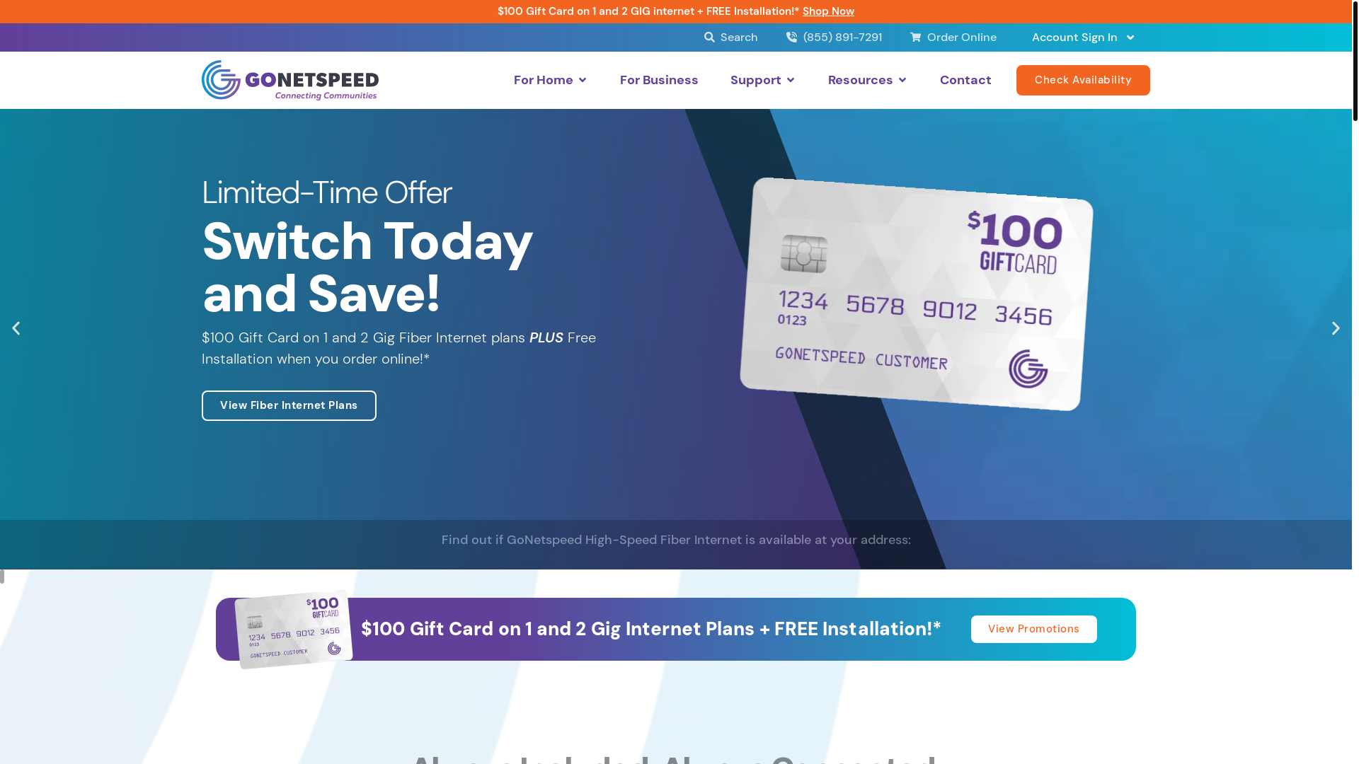 website screenshot of https://gonetspeed.com/