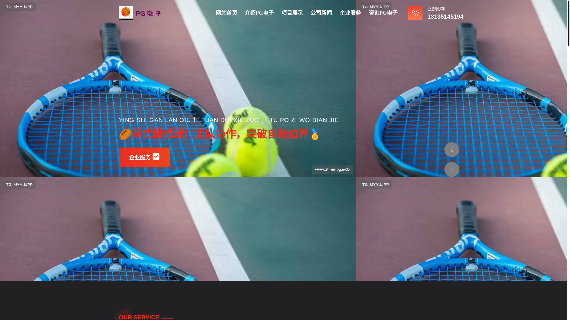 website screenshot of https://zh-en-pg.mobi/