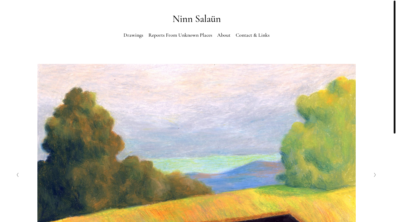 website screenshot of https://www.ninnsalaun.com/