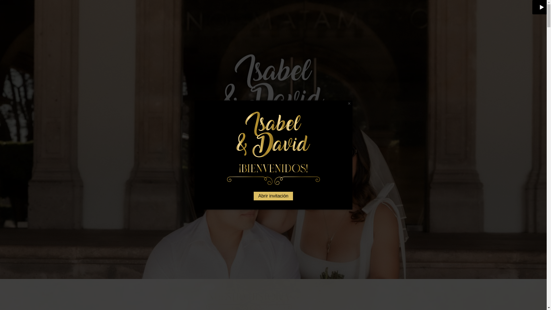 website screenshot of https://monica-y-rolando.com/