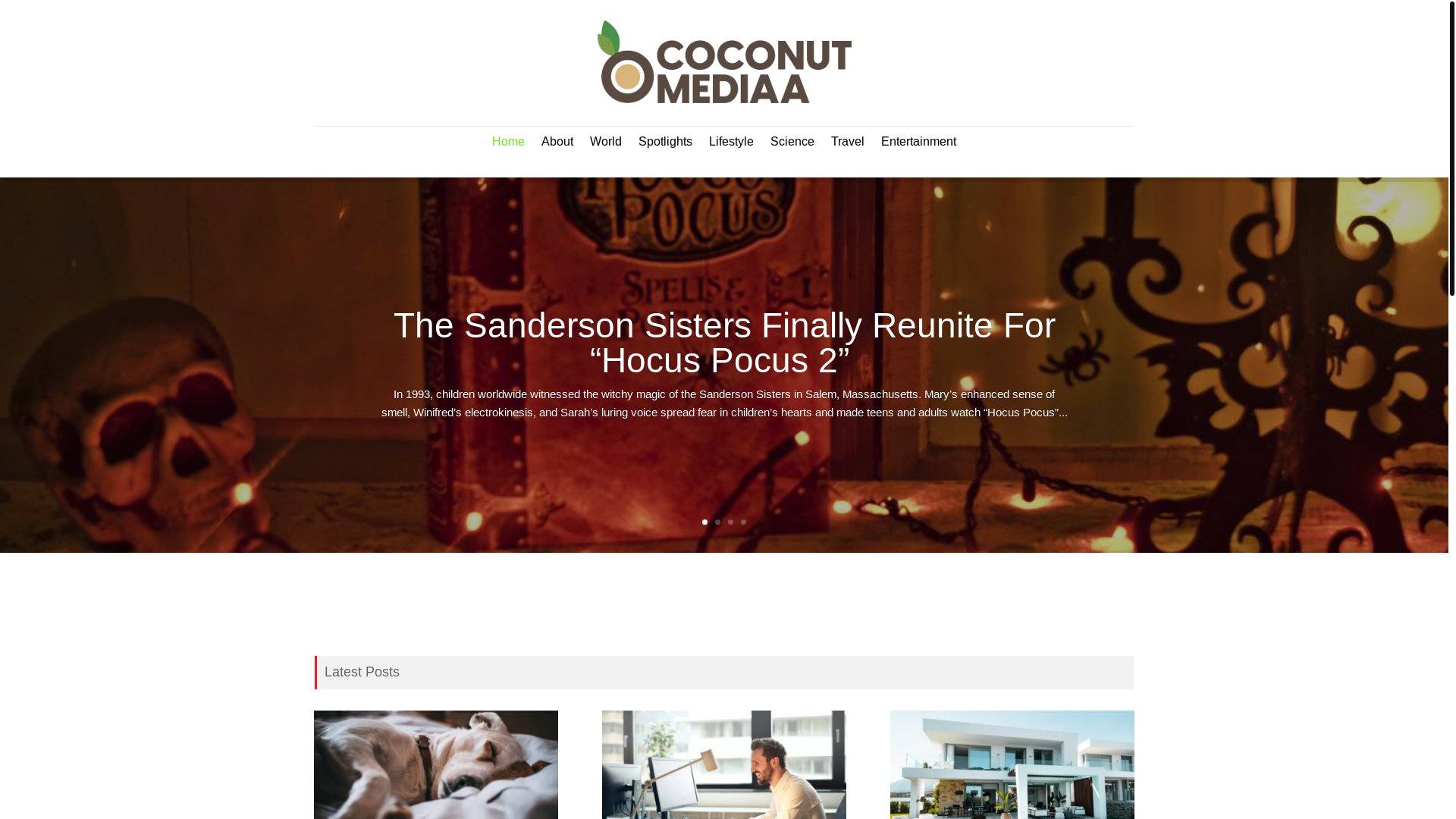website screenshot of https://static-coconutmediaa-com.pages.dev/