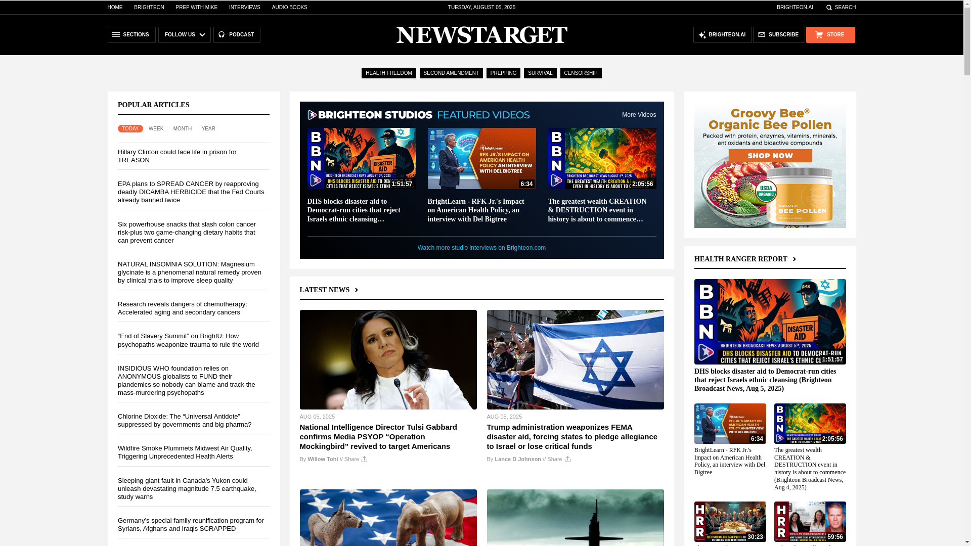 website screenshot of http://newstarget.com