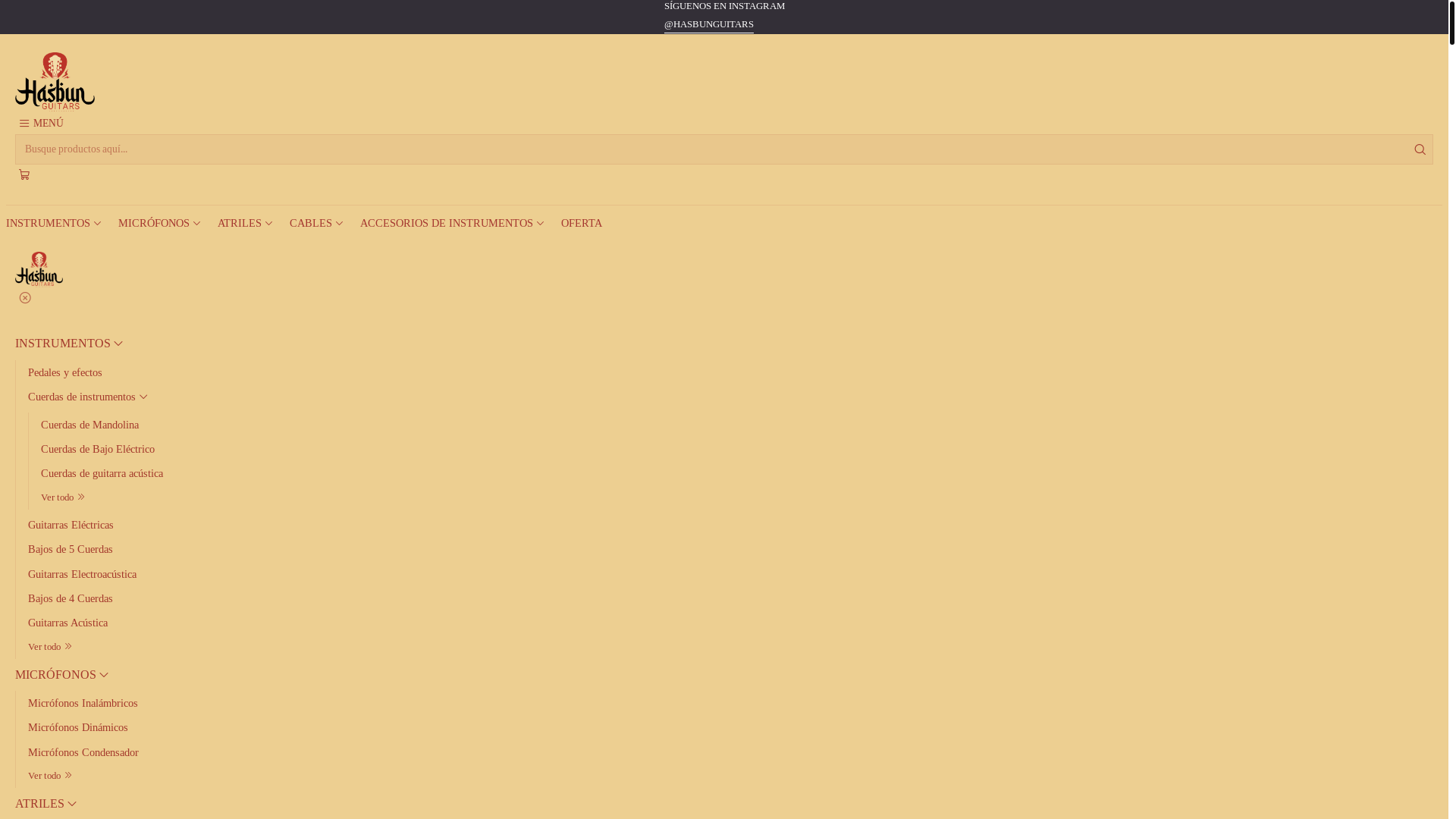 website screenshot of https://hasbunguitars.cl/