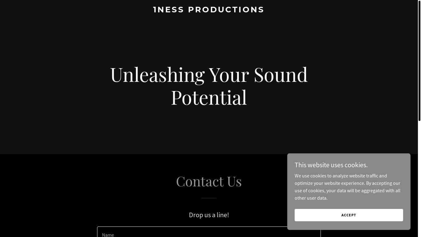 website screenshot of https://1nessproductions.com/
