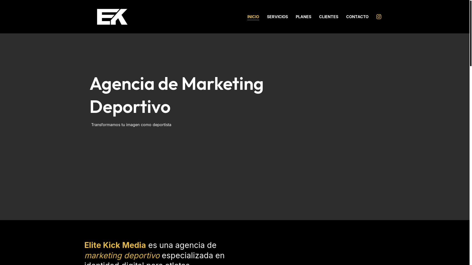 website screenshot of https://elitekickmedia.com/