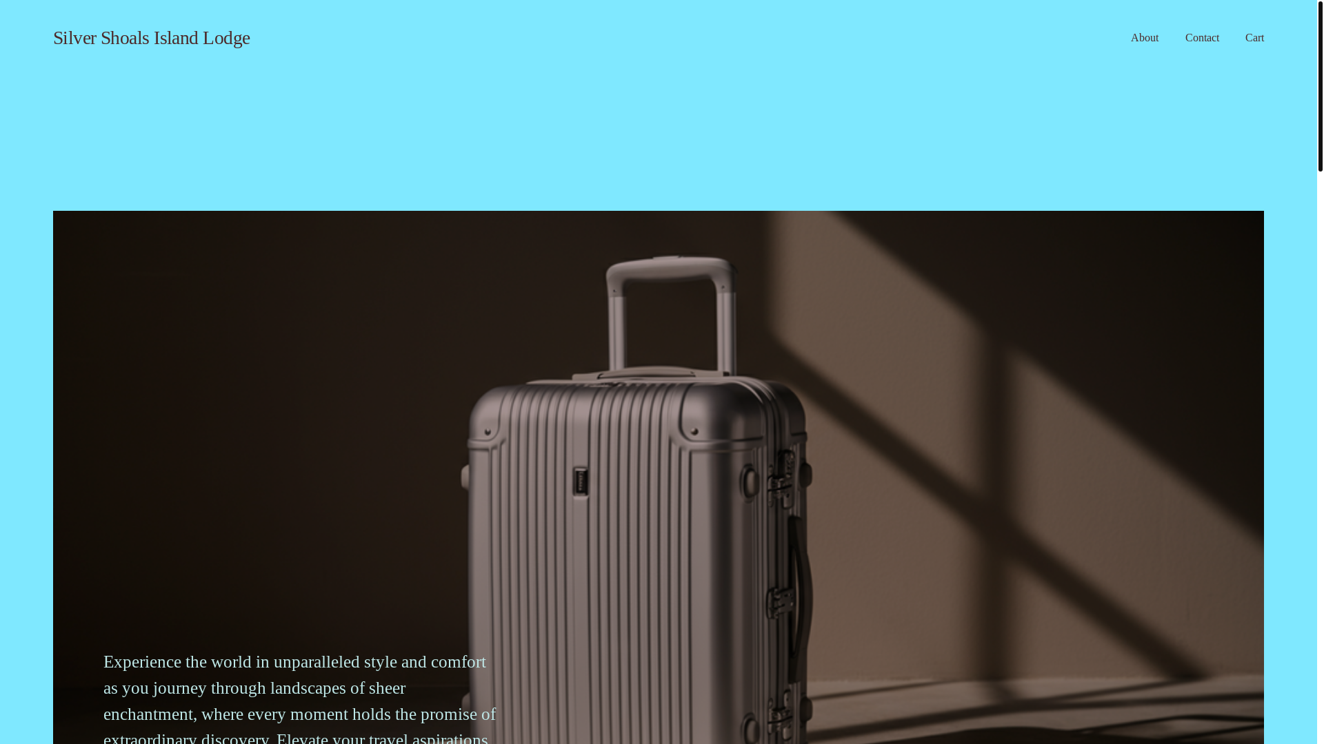 website screenshot of https://silvershoal.com.au/