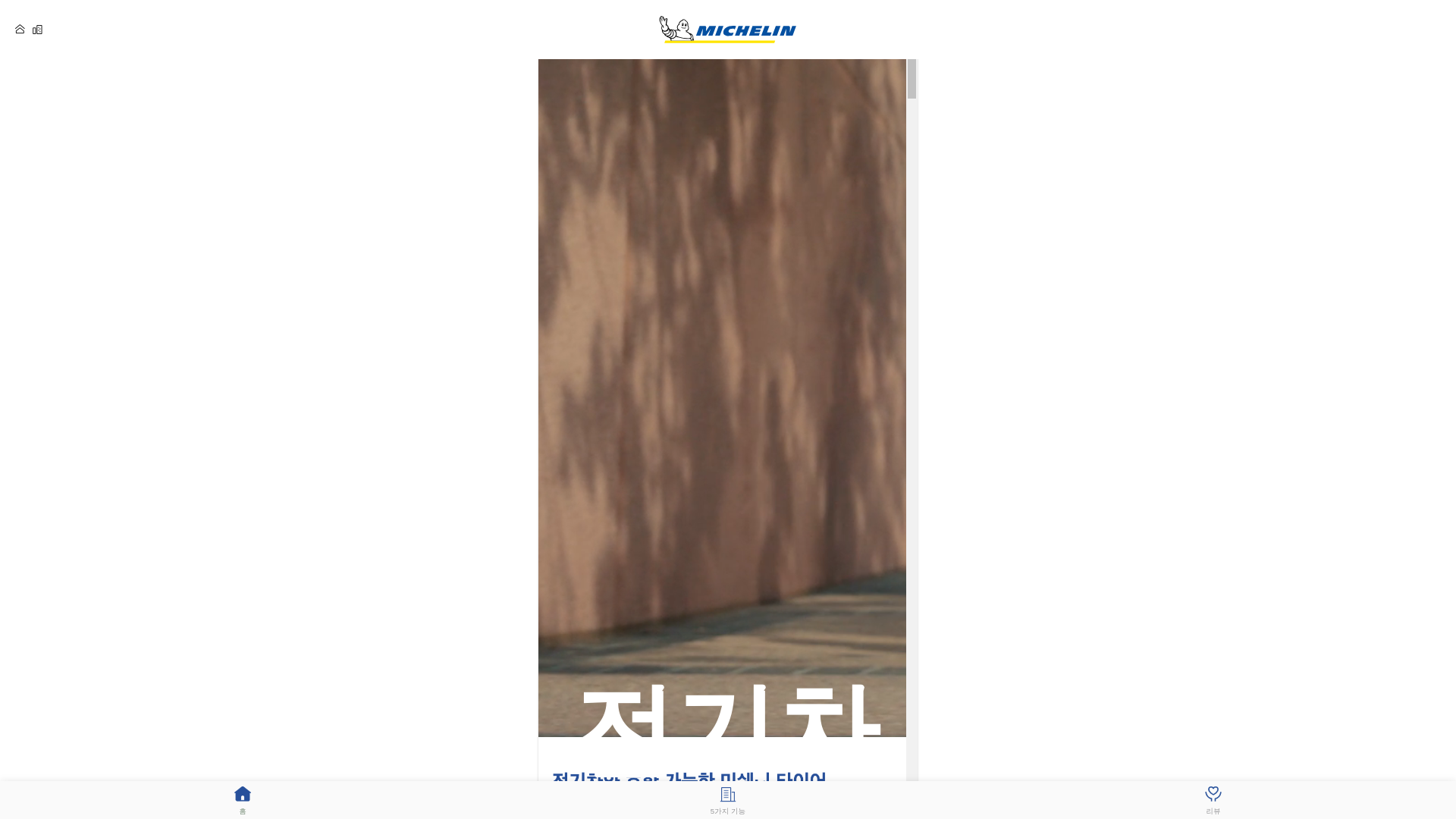 website screenshot of https://michelindn.com/